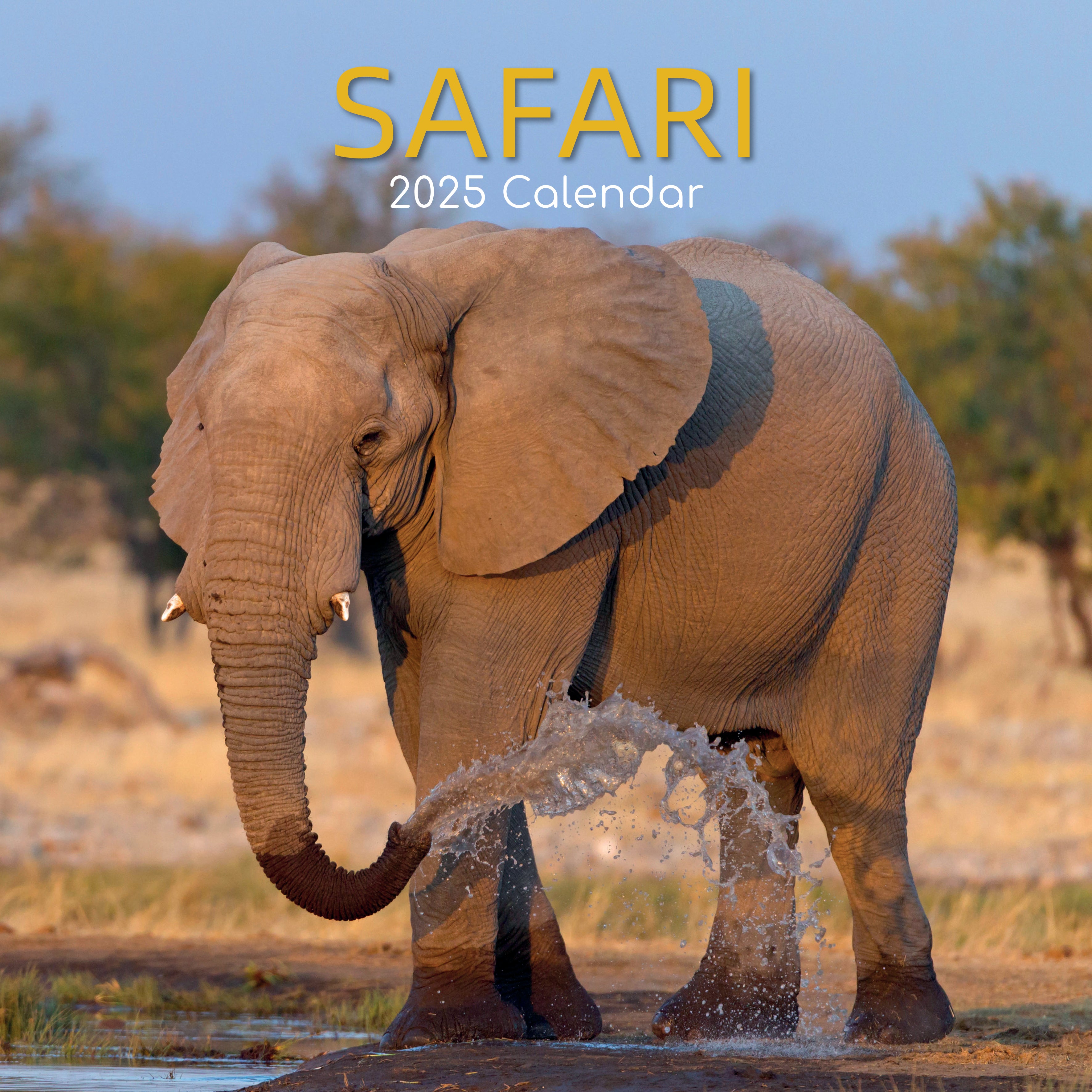 2025 Safari - Square Wall Calendar