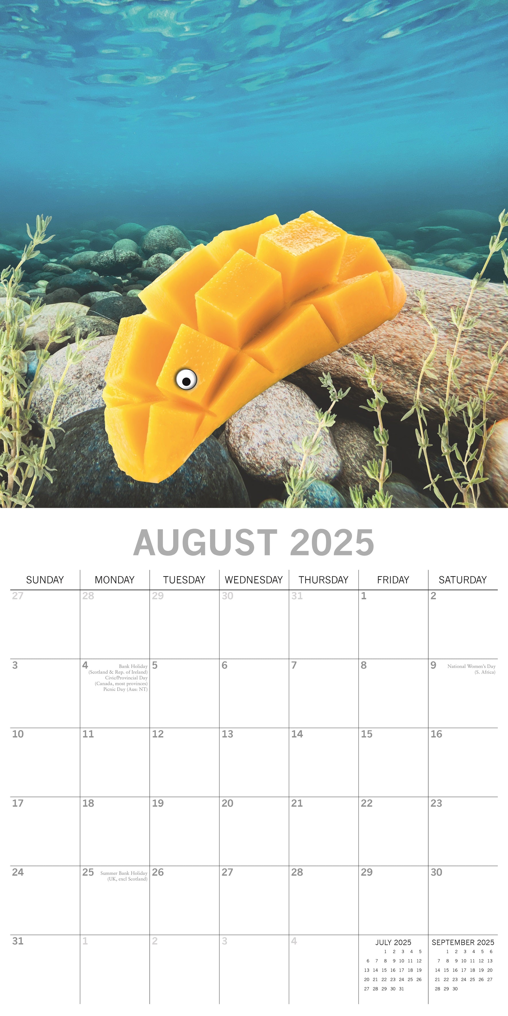 2025 Sea Food - Square Wall Calendar