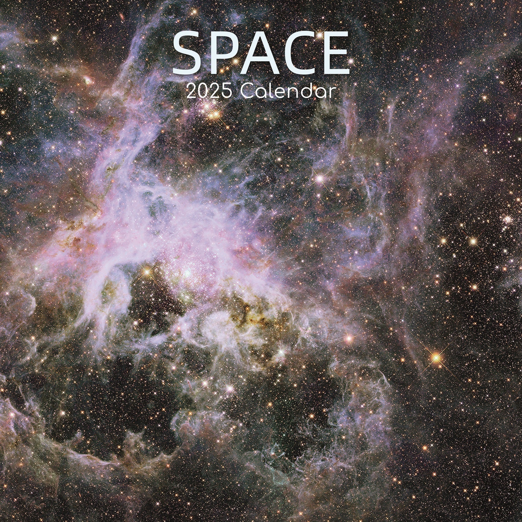 2025 Space - Square Wall Calendar