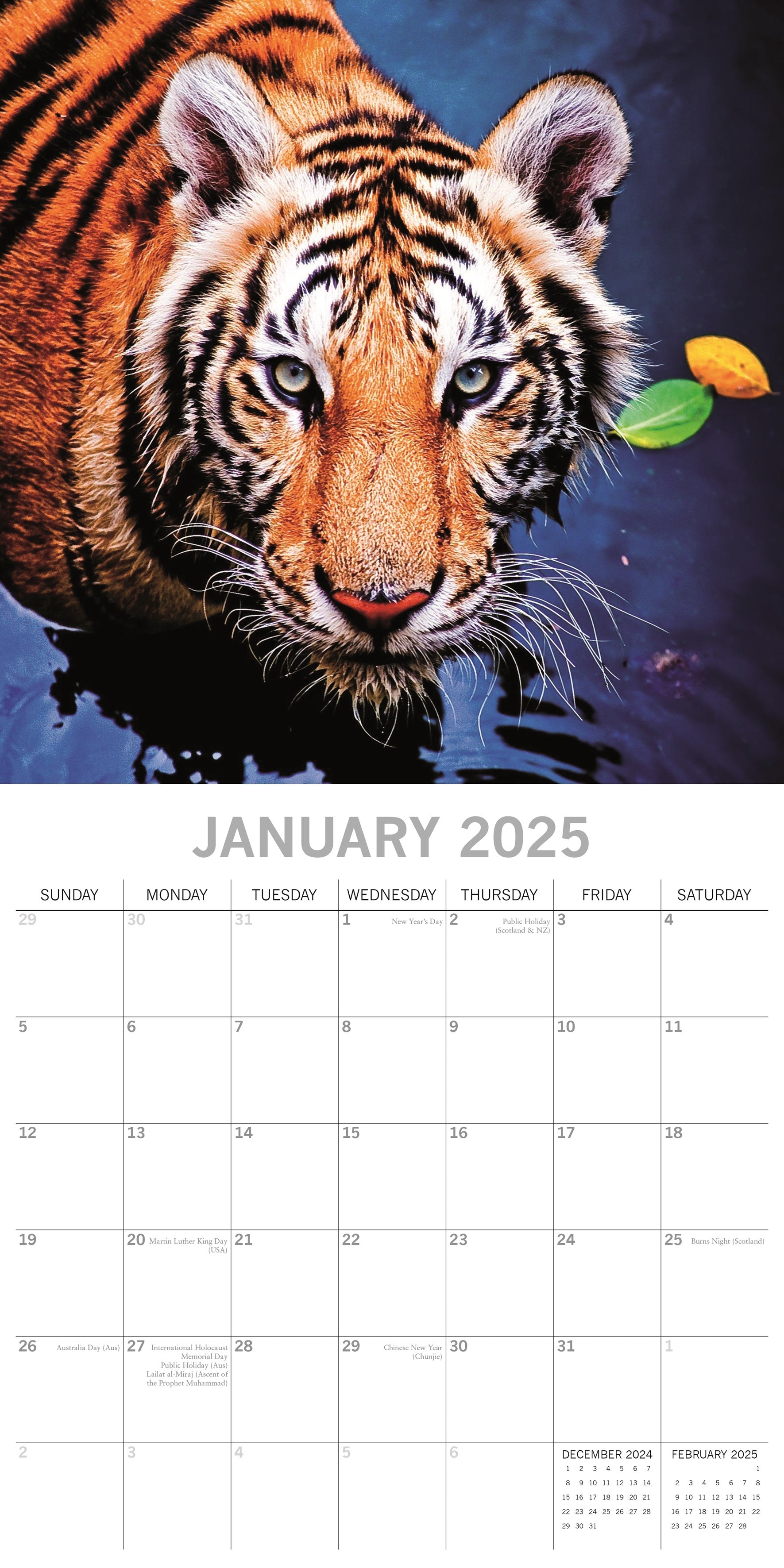2025 Tigers - Square Wall Calendar