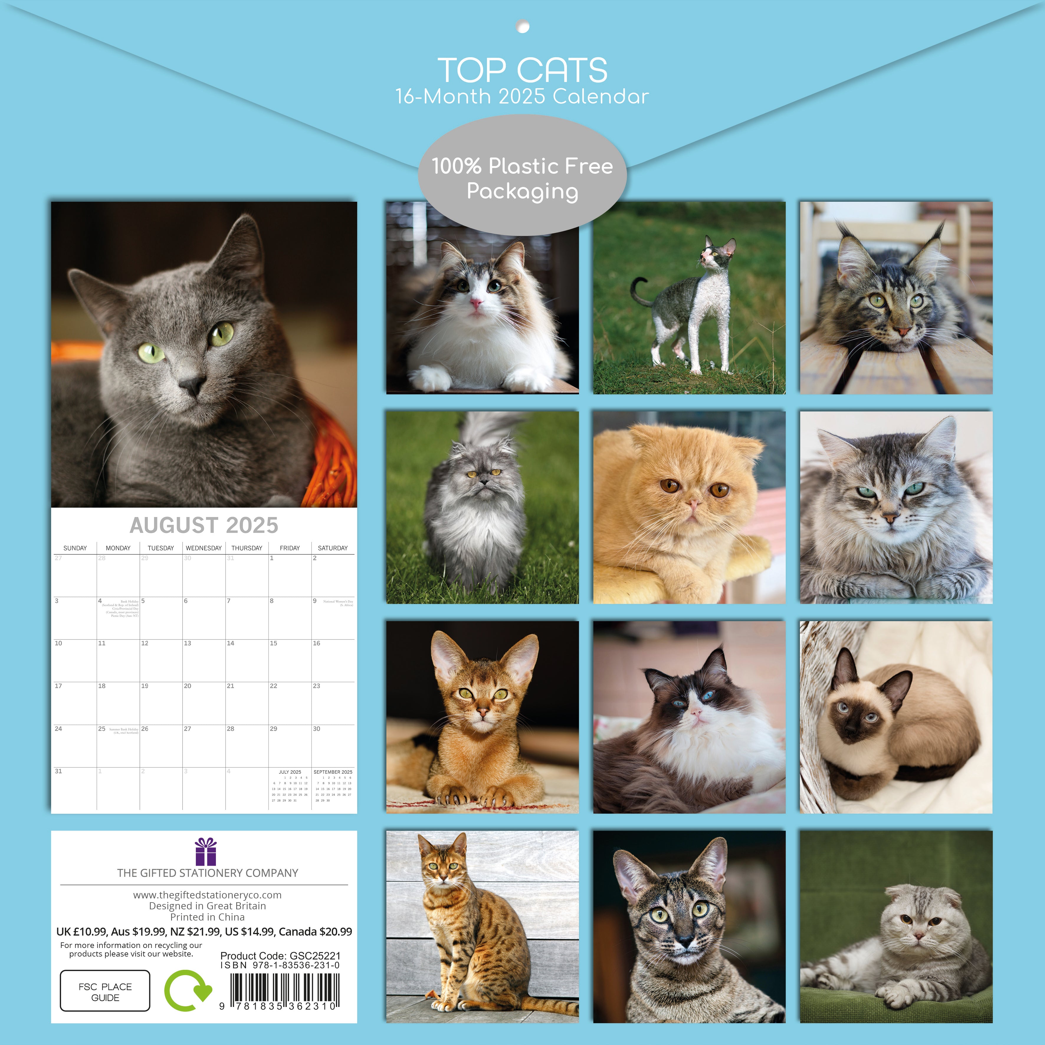 2025 Top Cats - Square Wall Calendar