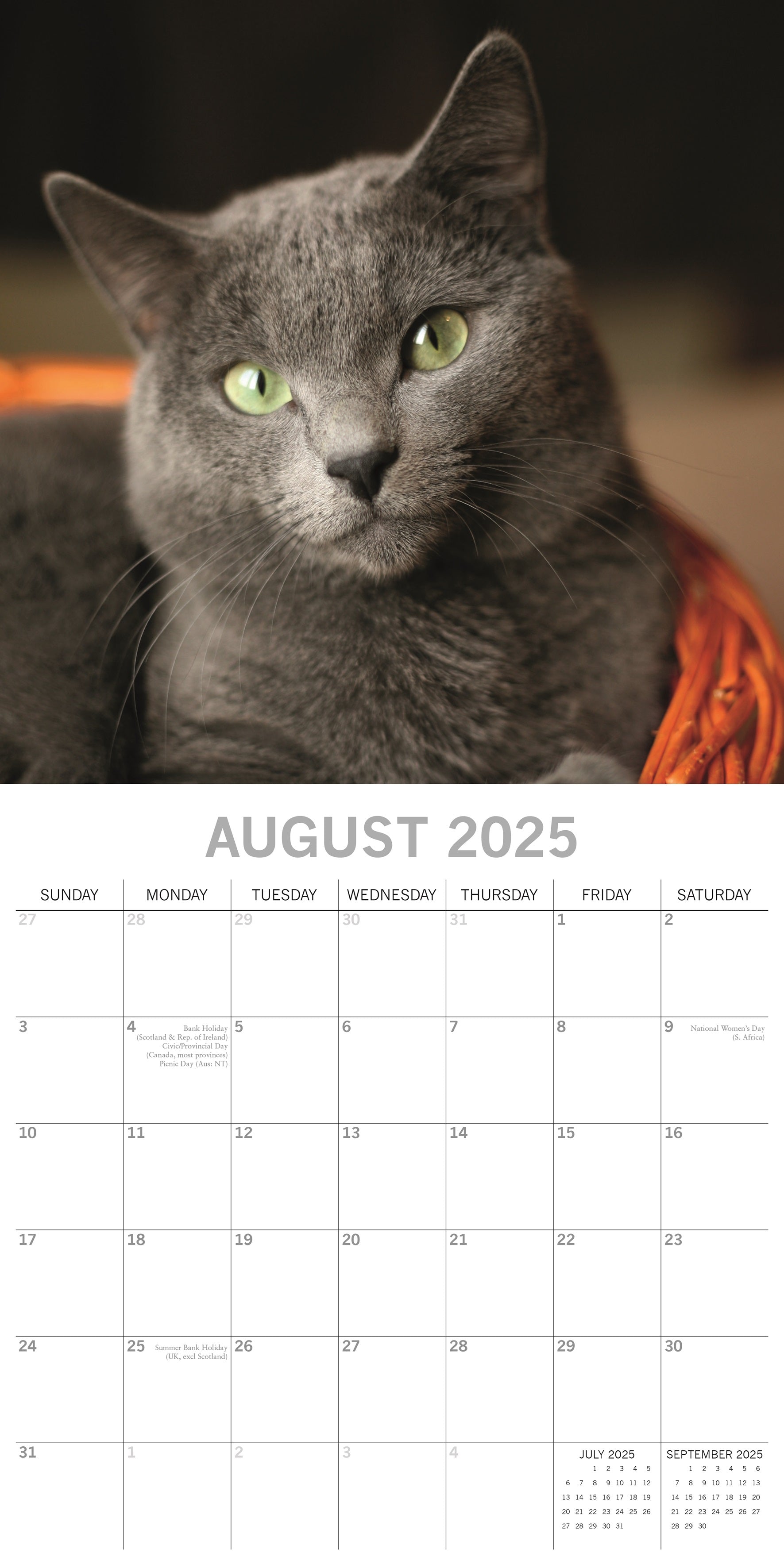 2025 Top Cats - Square Wall Calendar