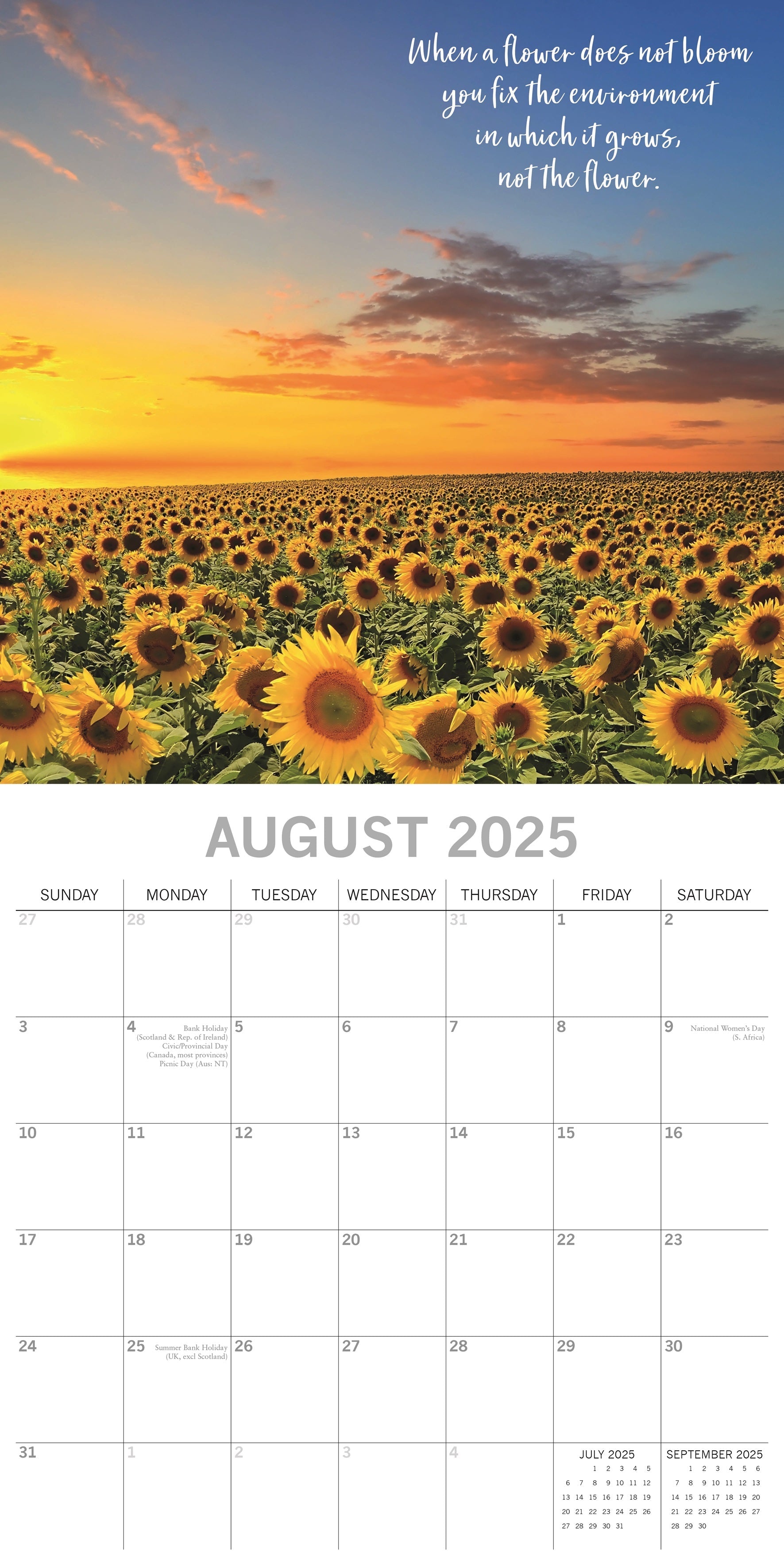 2025 Tranquility - Square Wall Calendar