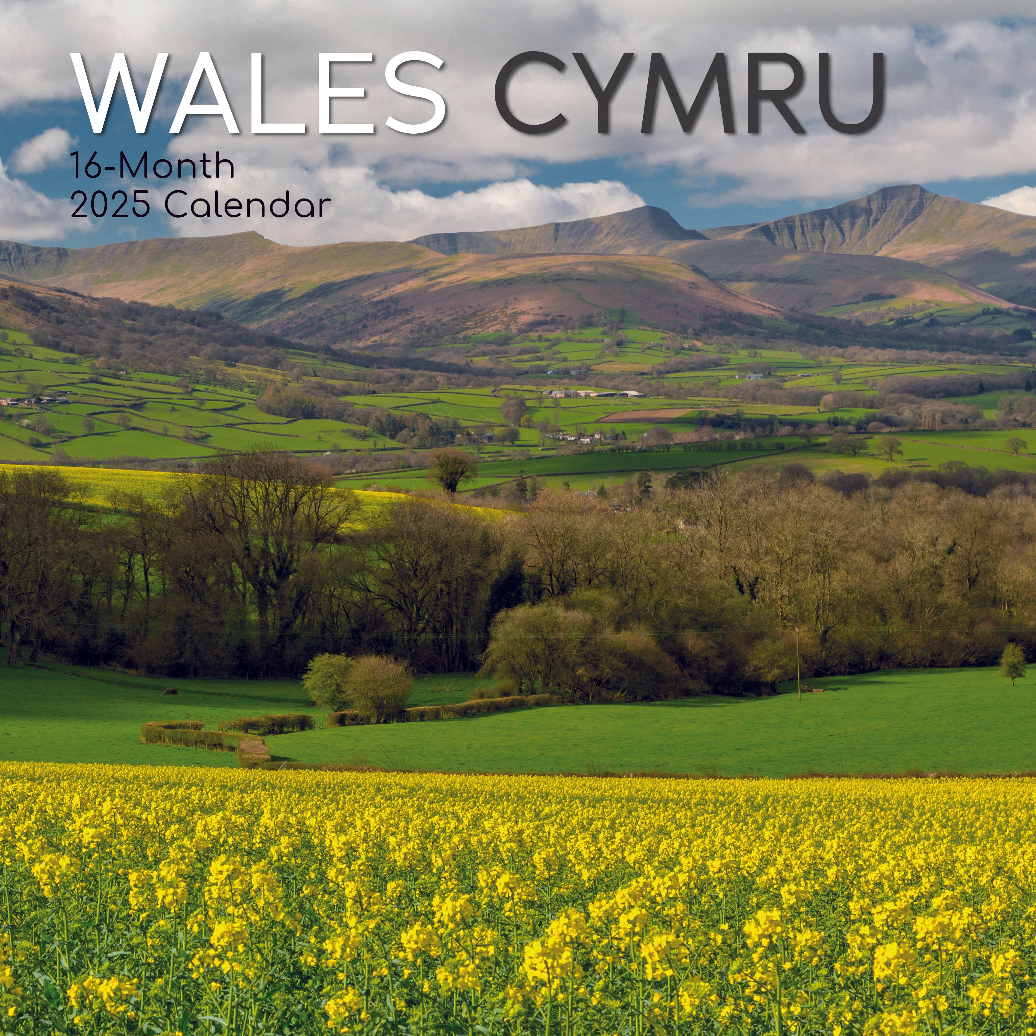 2025 Wales CYMRU - Square Wall Calendar