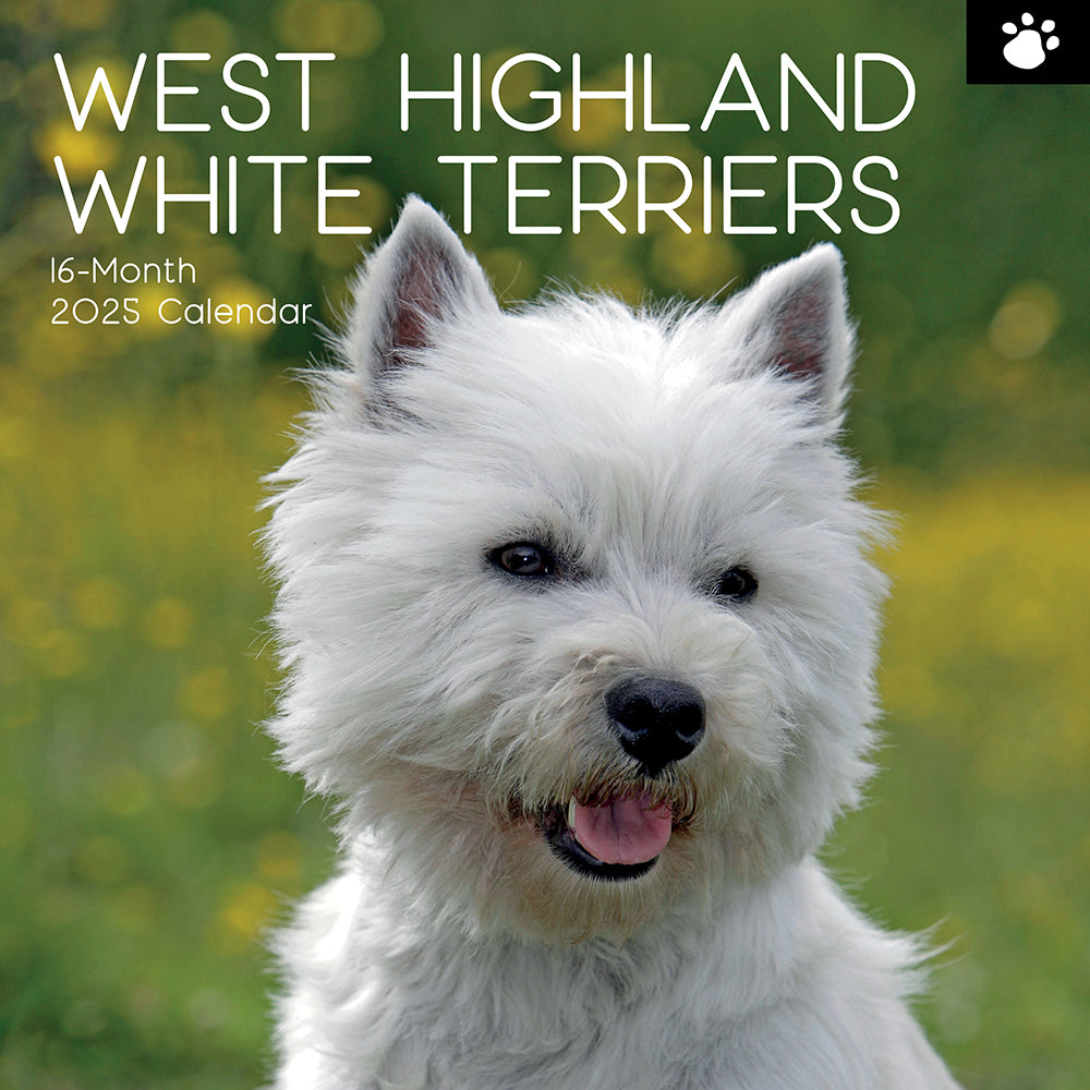 2025 West Highland White Terriers - Square Wall Calendar