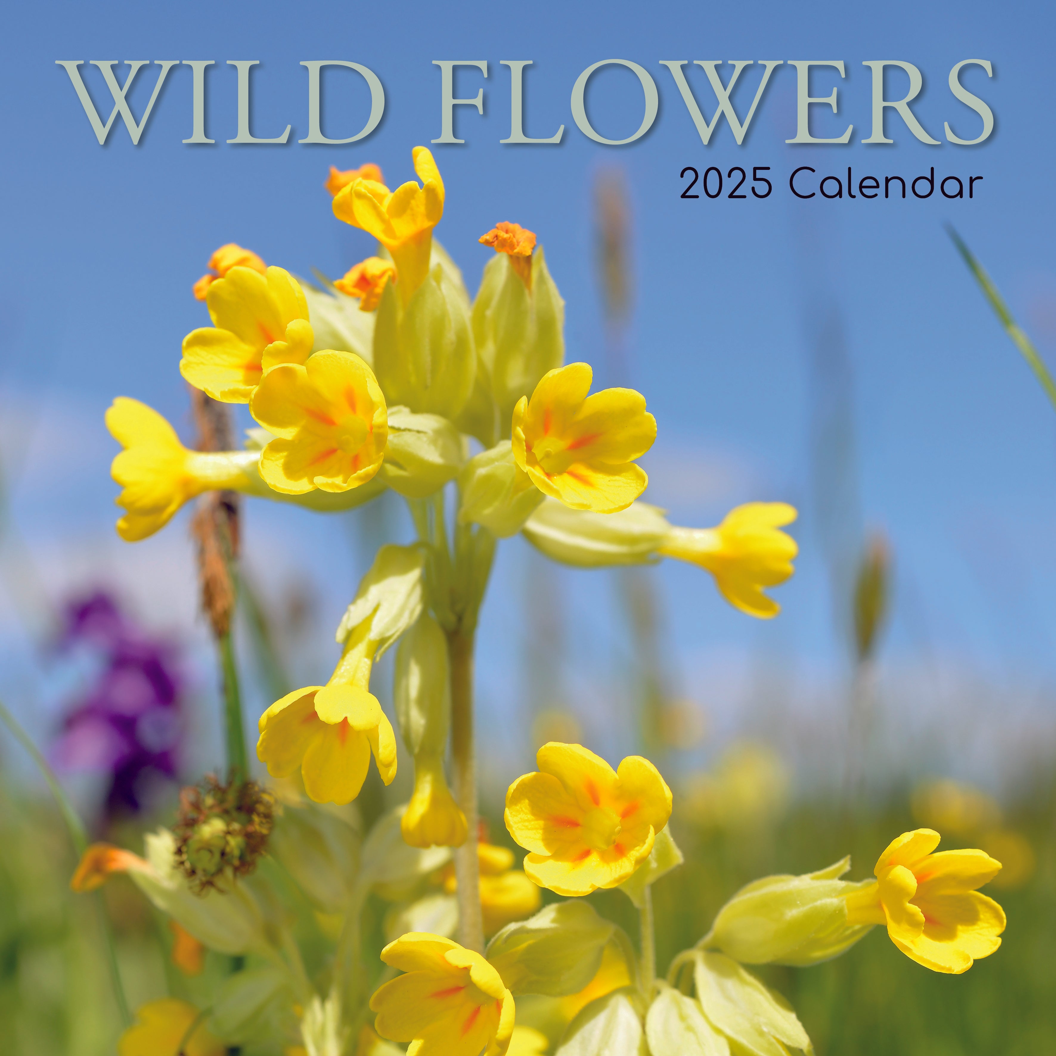 2025 Wild Flowers - Square Wall Calendar