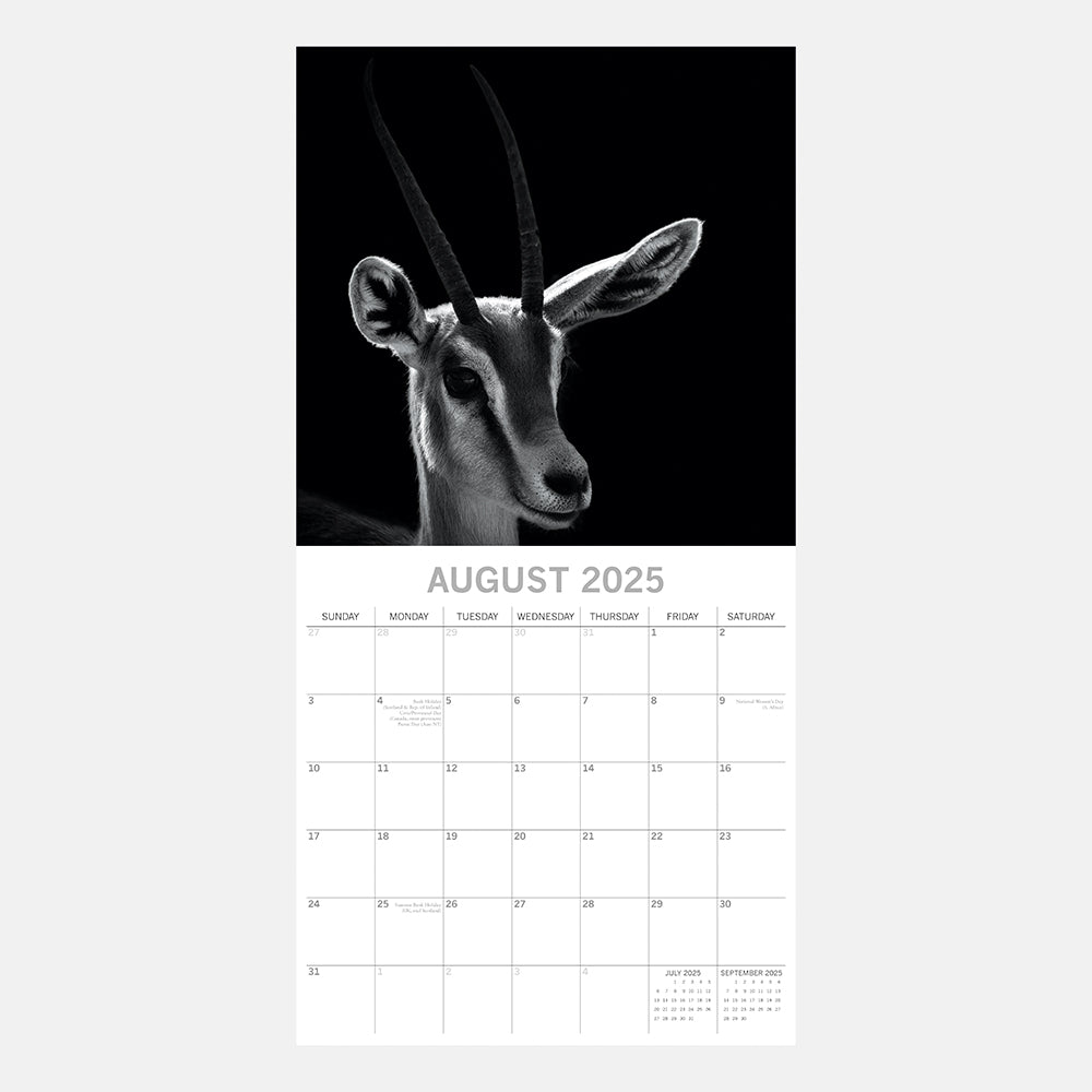 2025 Wild Portraits - Square Wall Calendar