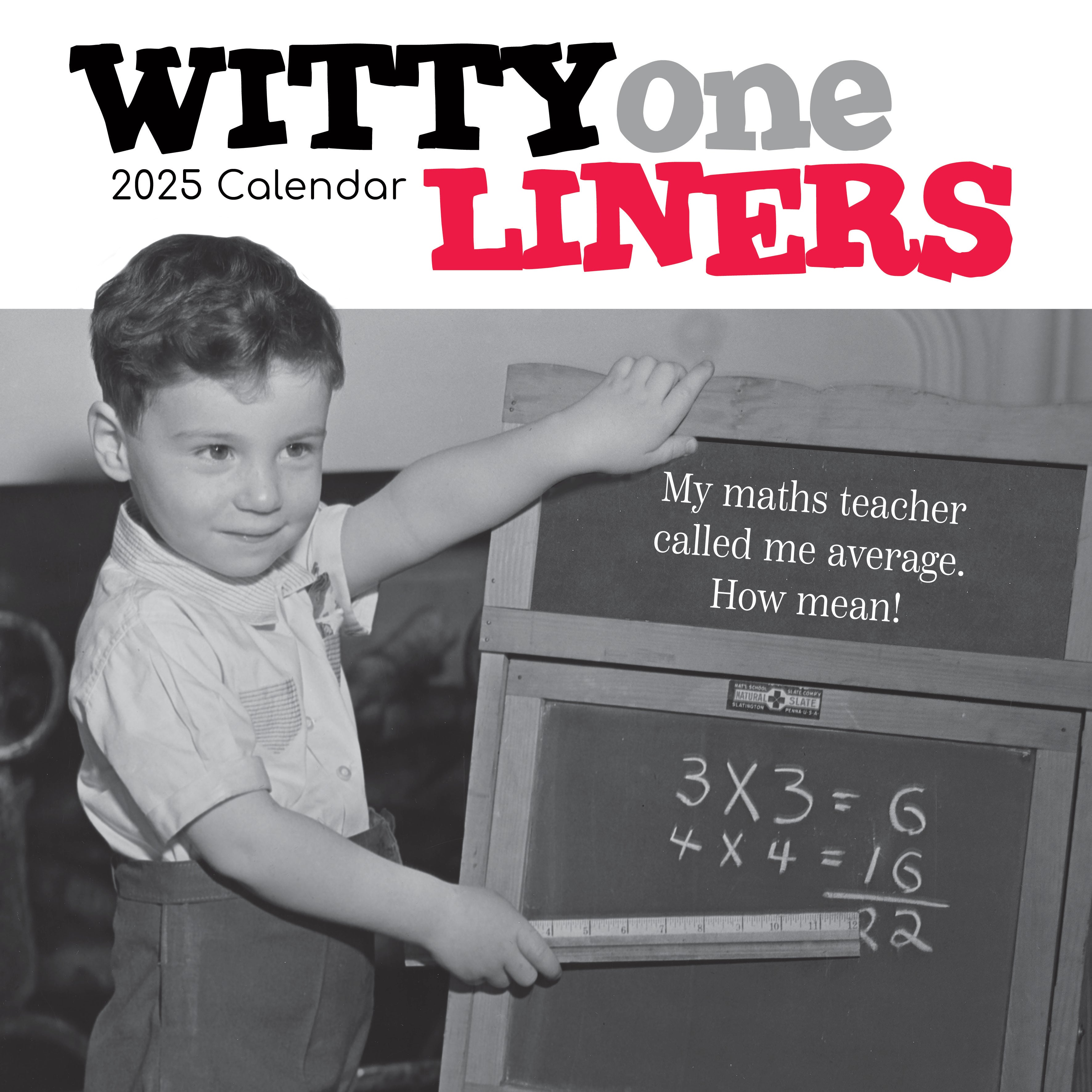 2025 Witty One Liners - Square Wall Calendar