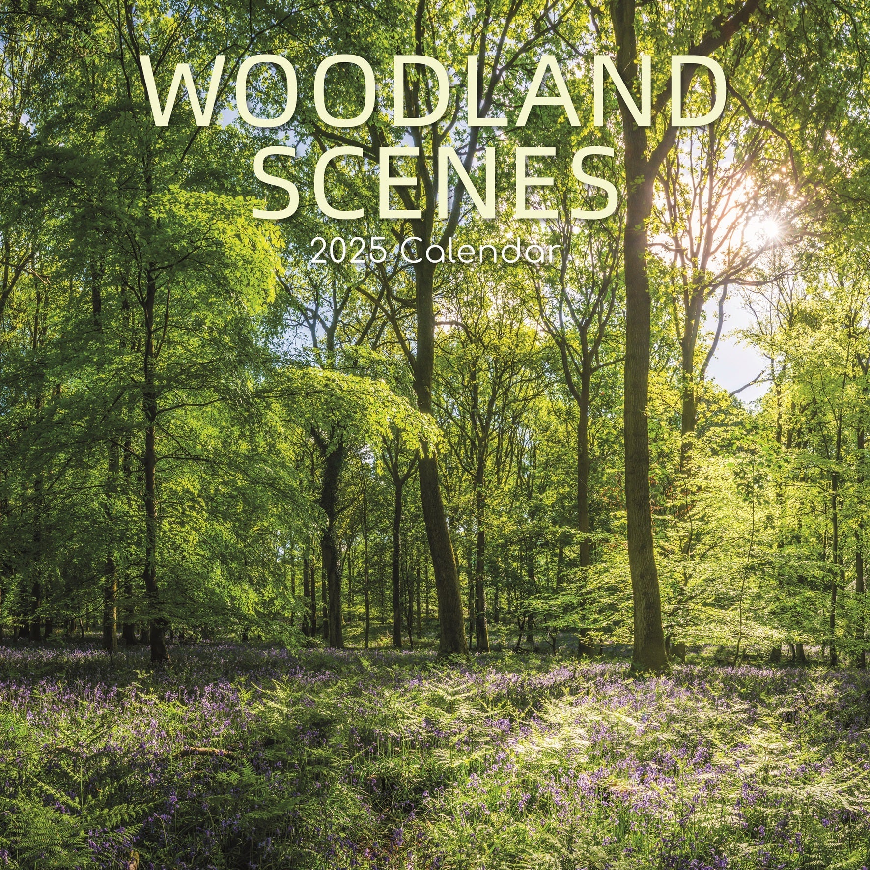 2025 Woodland Scenes - Square Wall Calendar