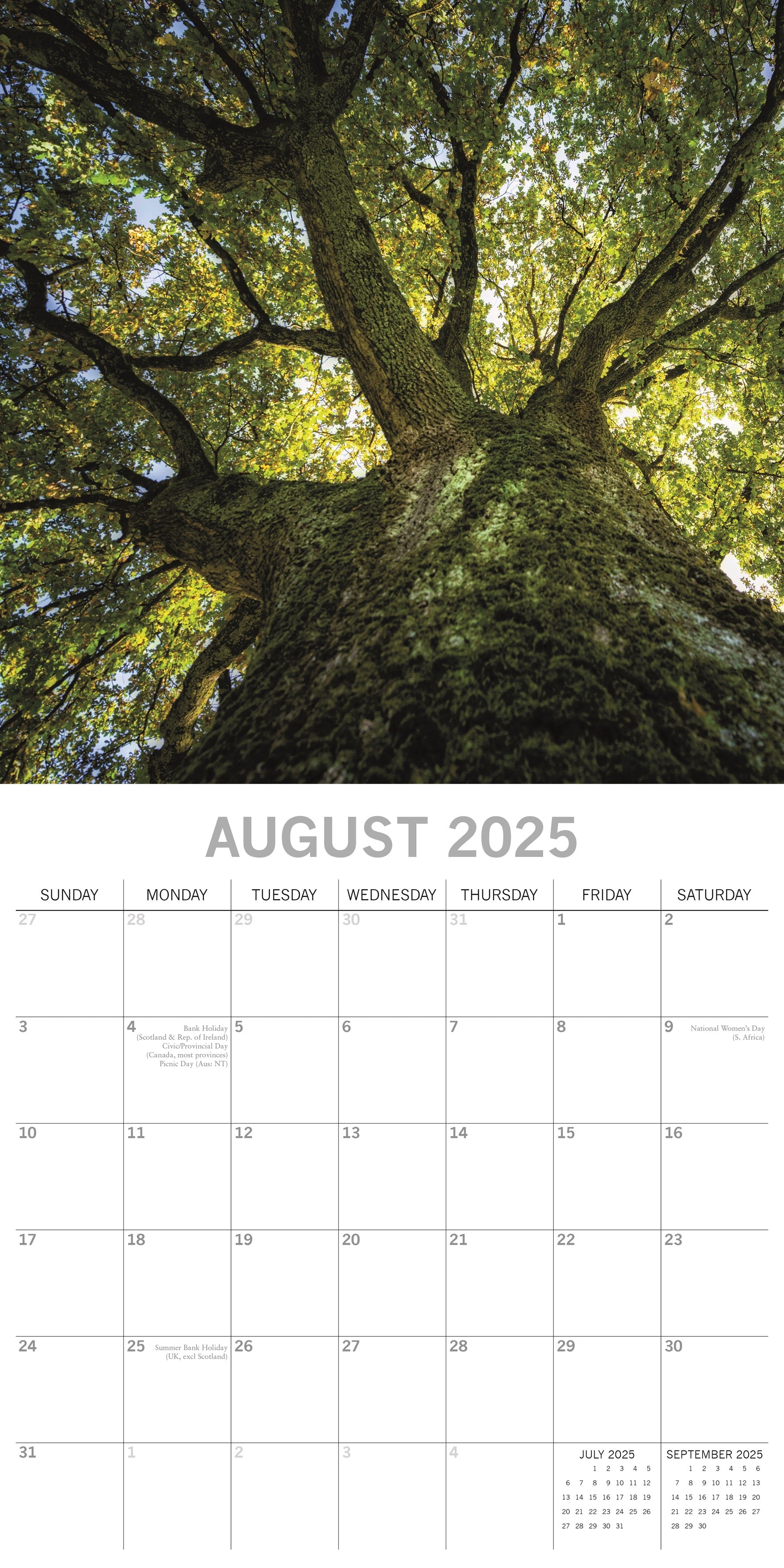 2025 Woodland Scenes - Square Wall Calendar