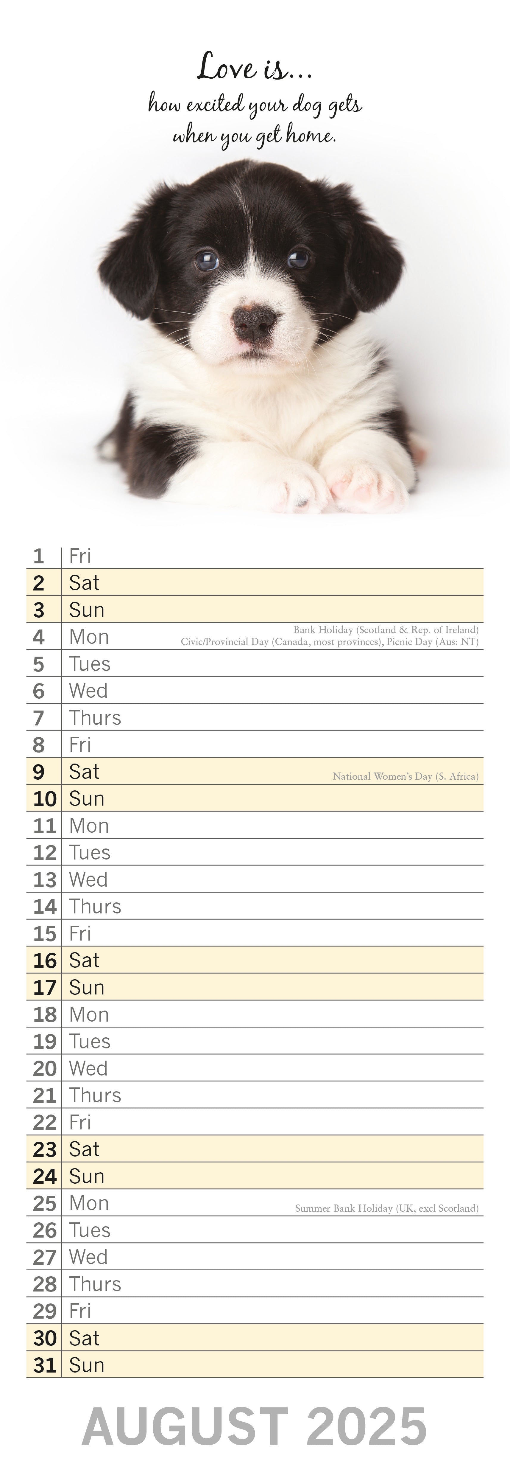 2025 Adorable Dogs - Slim Wall Calendar