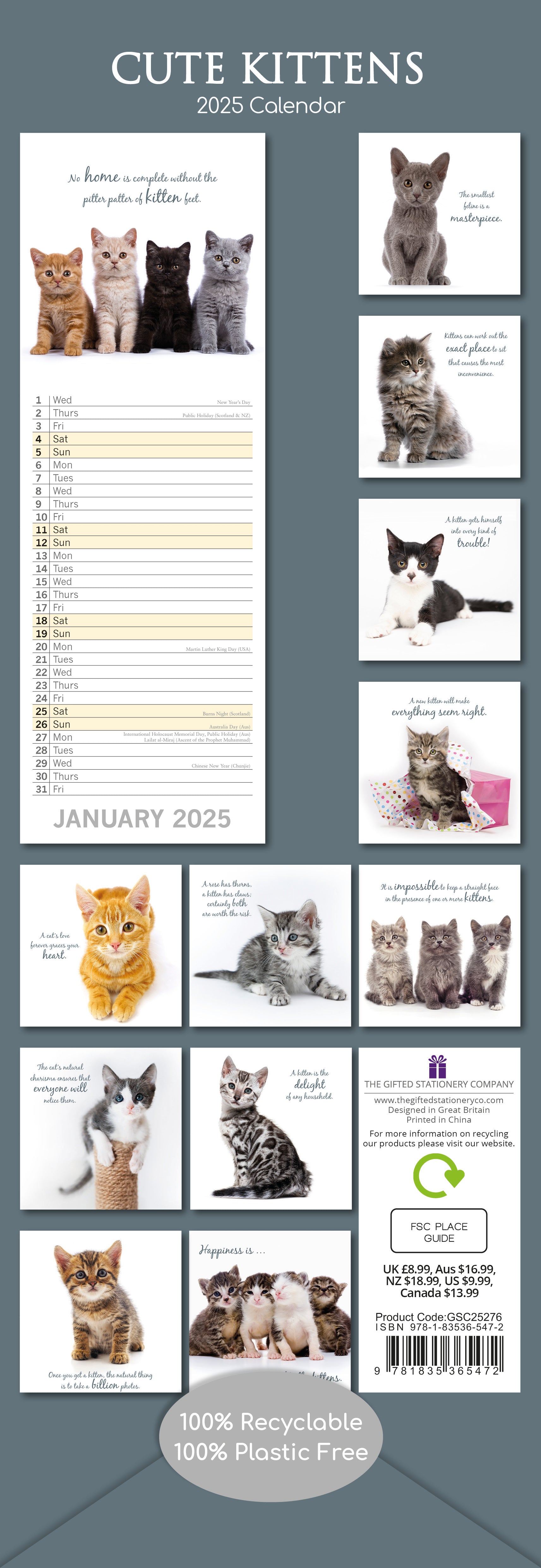 2025 Cute Kittens - Slim Wall Calendar