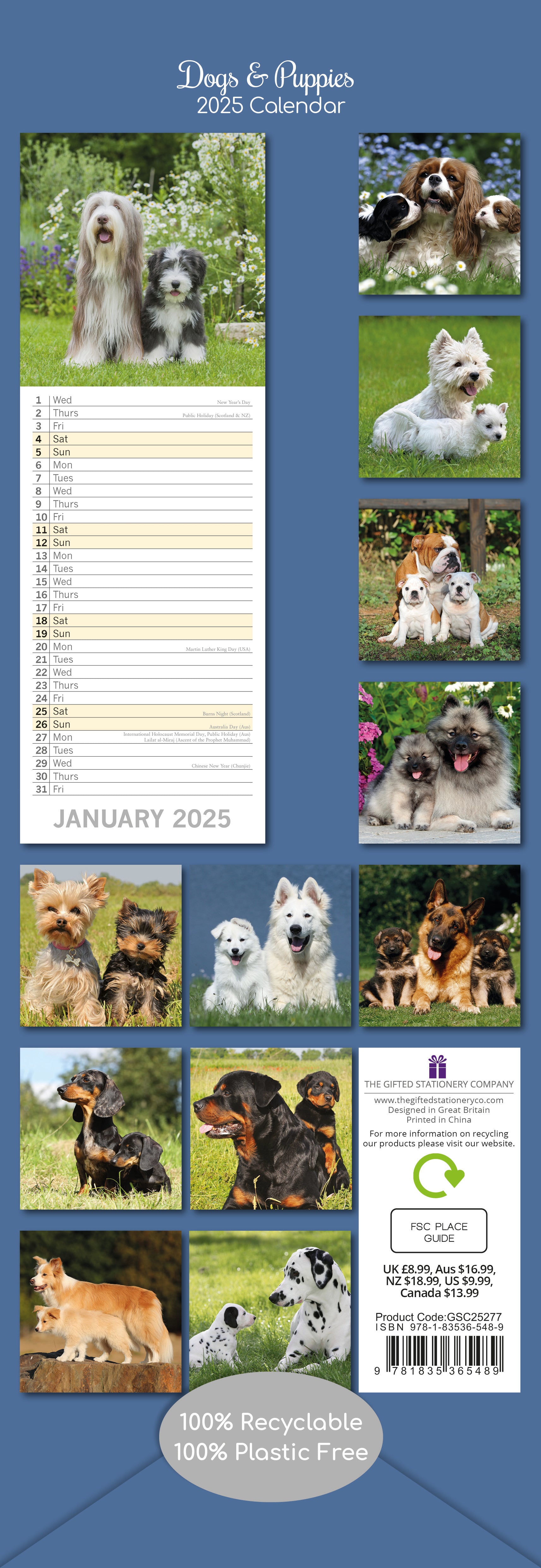 2025 Dogs & Puppies - Slim Wall Calendar