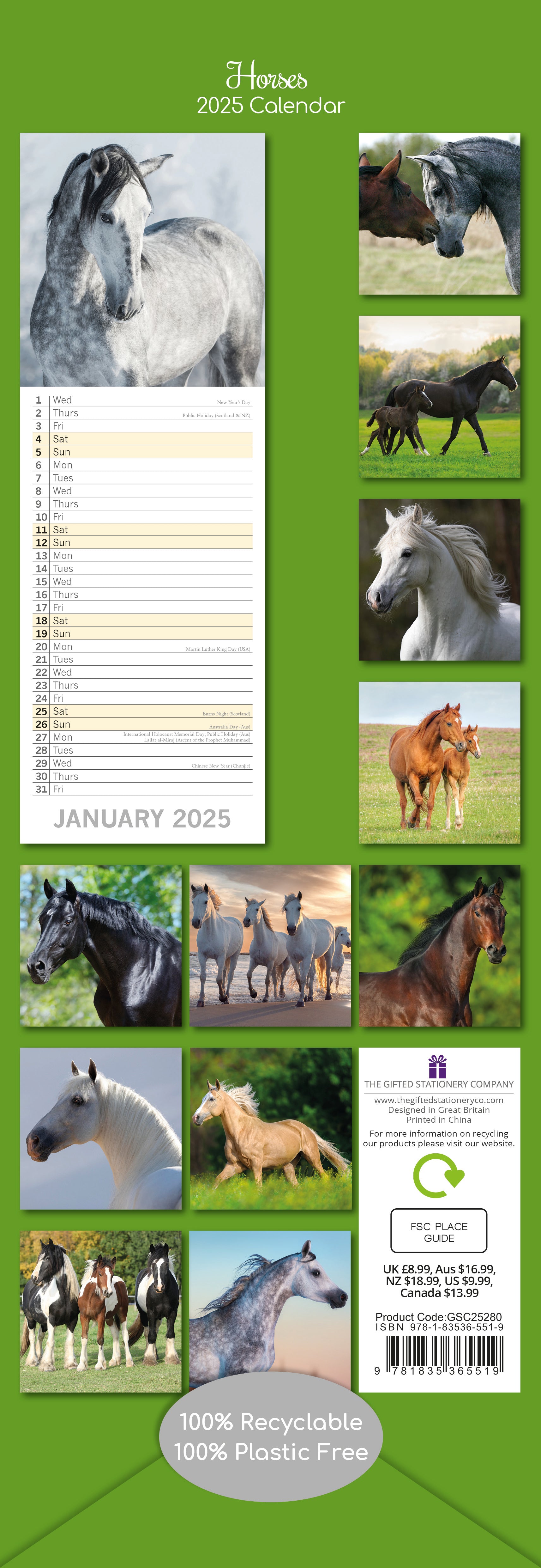 2025 Horses - Slim Wall Calendar