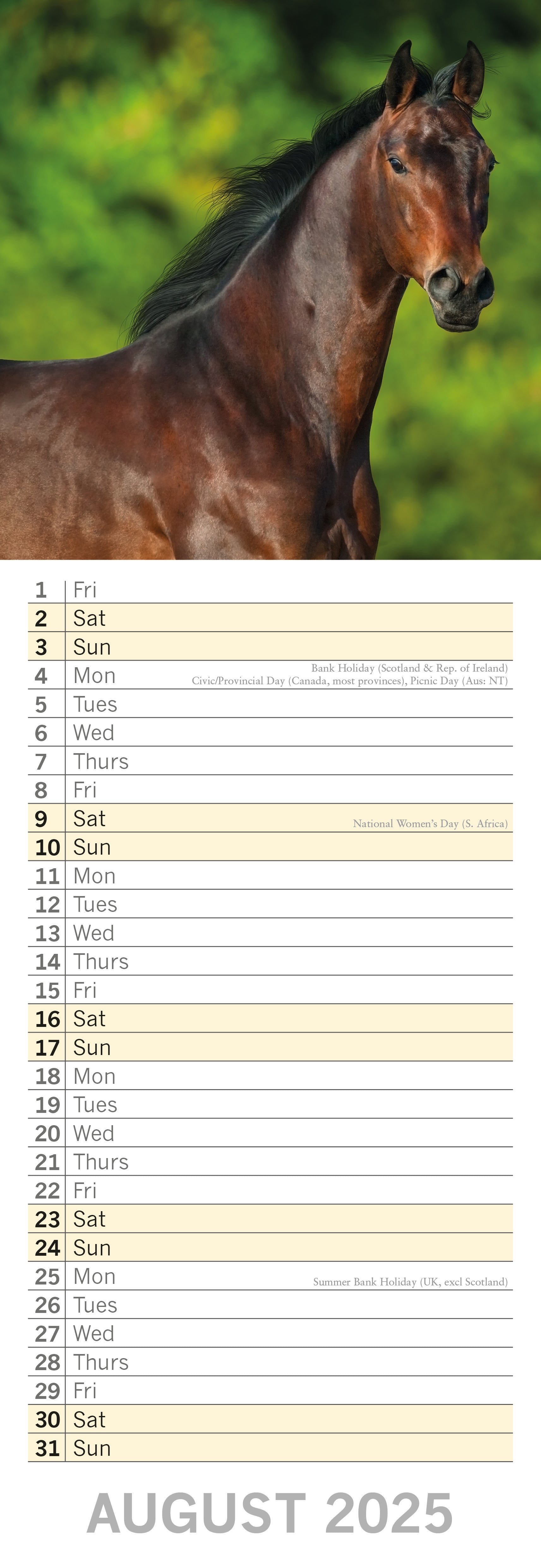 2025 Horses - Slim Wall Calendar