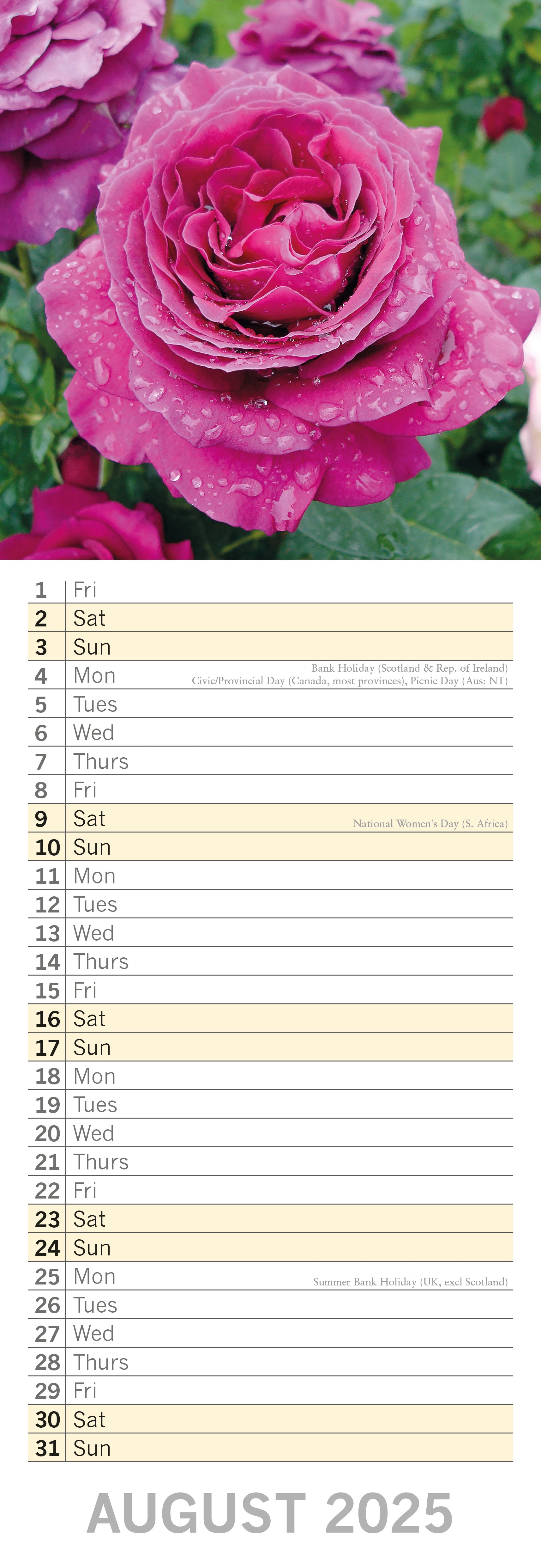 2025 Roses - Slim Wall Calendar