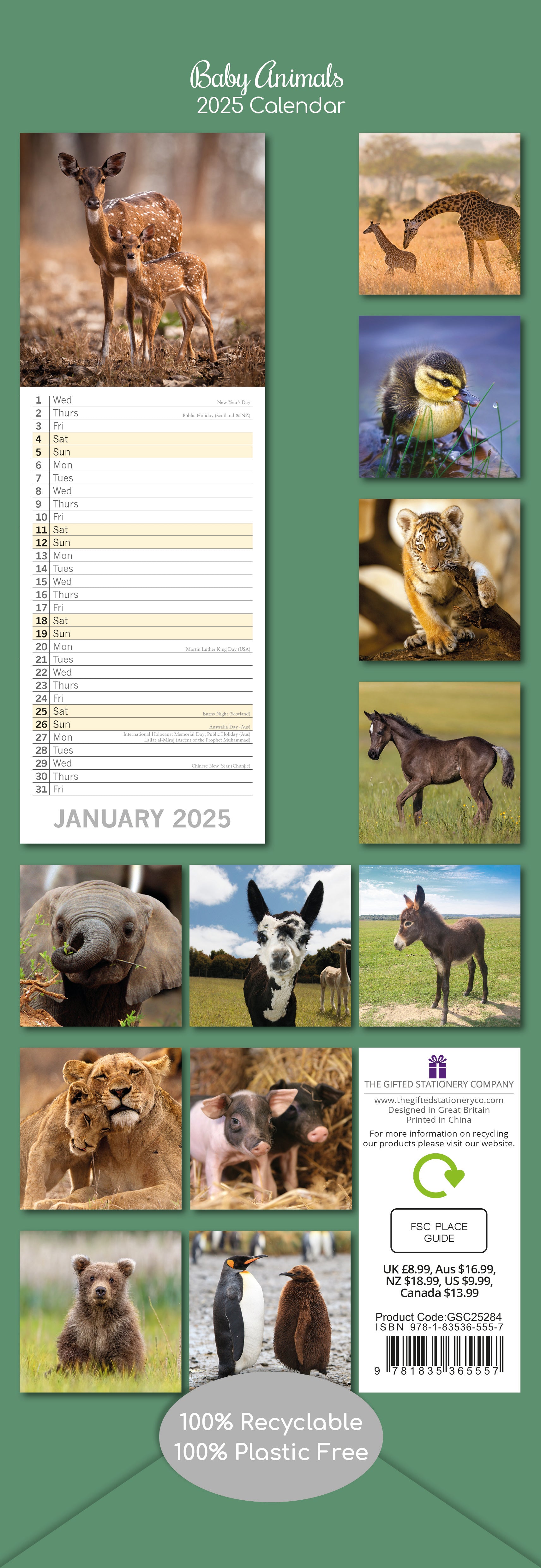 2025 Baby Animals - Slim Wall Calendar