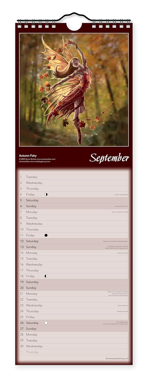 2026 Anne Stokes - Slim Wall Calendar