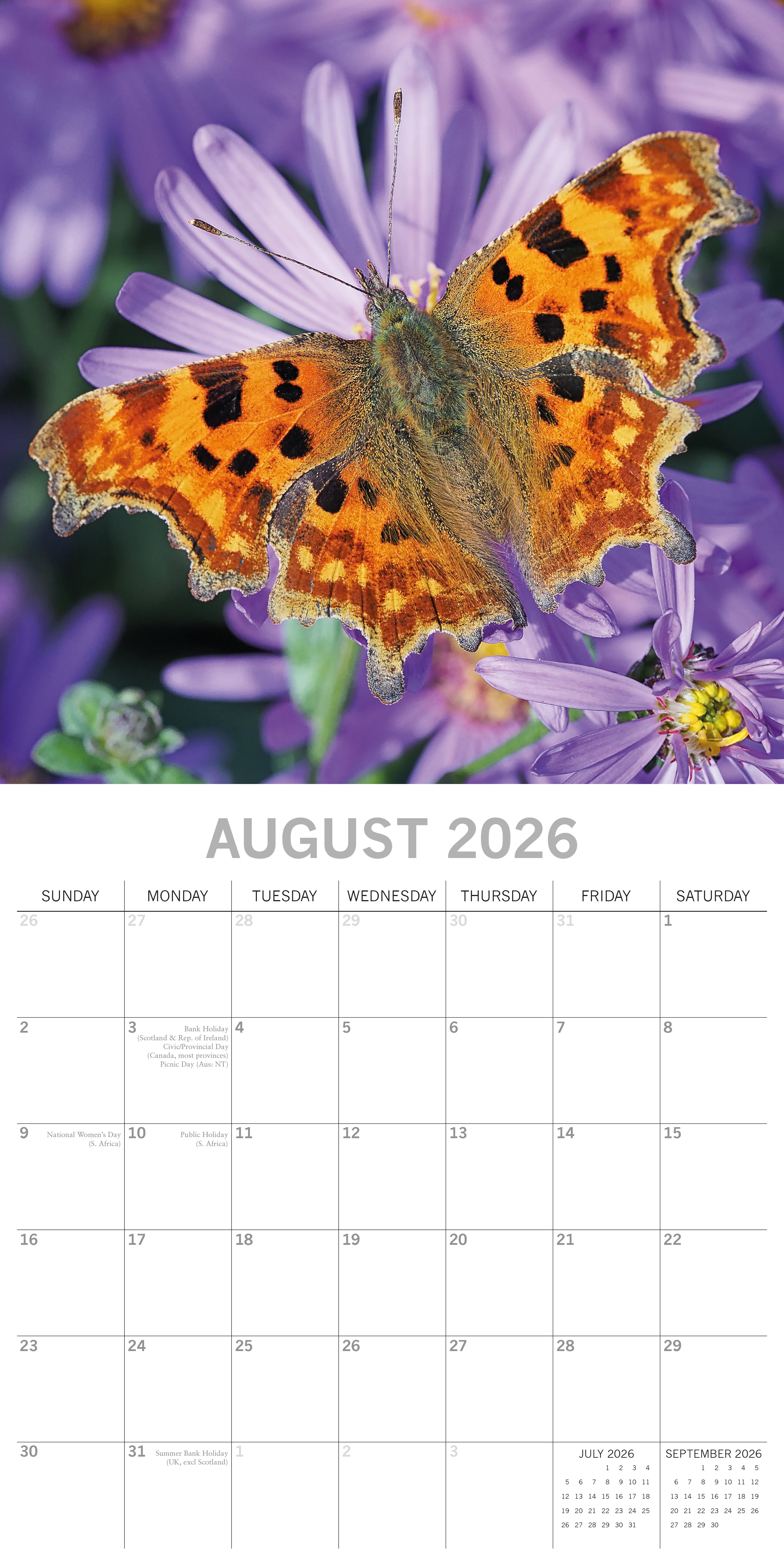 2026 Butterflies - Square Wall Calendar