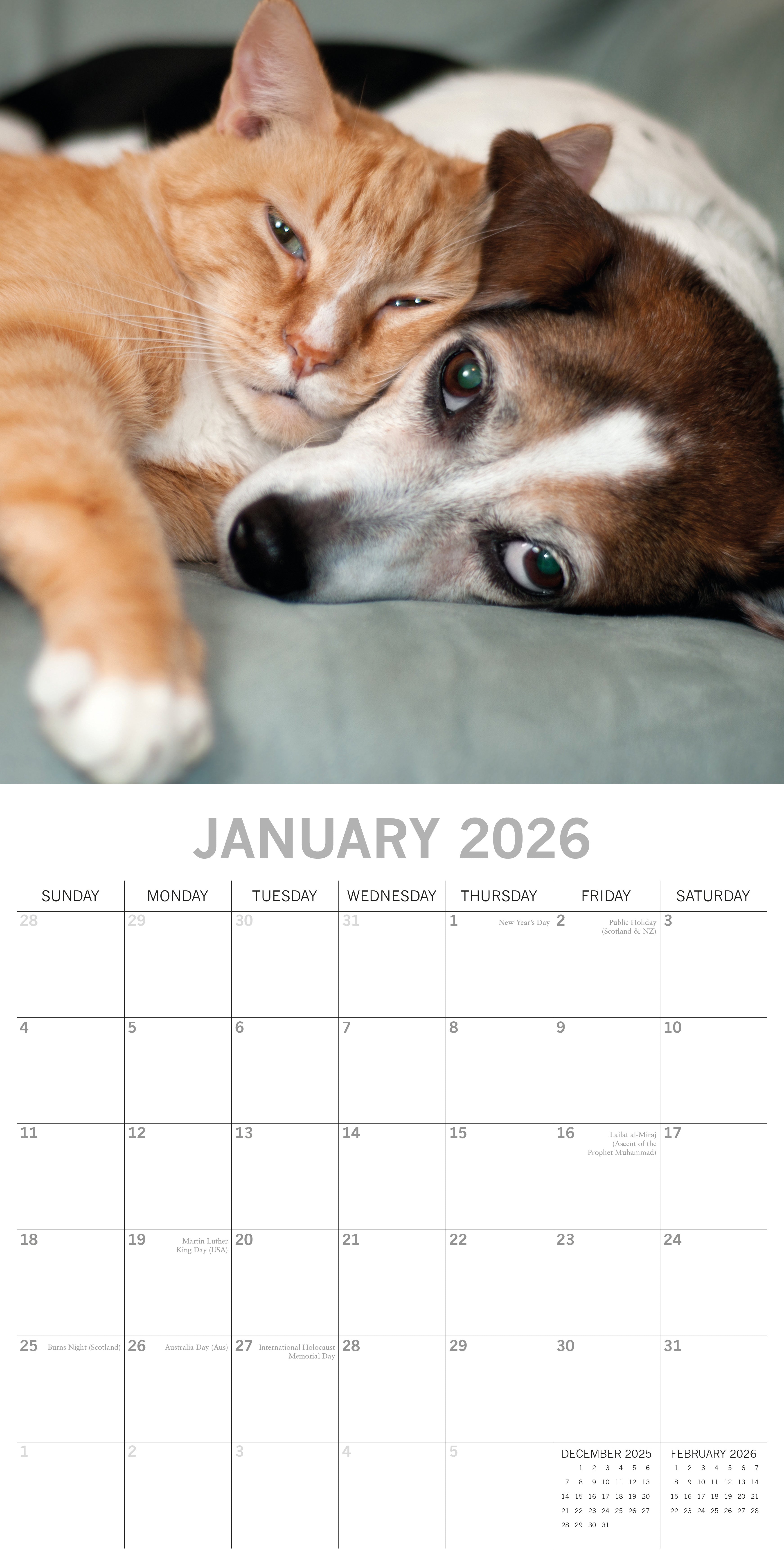 2026 Cats & Dogs - Square Wall Calendar