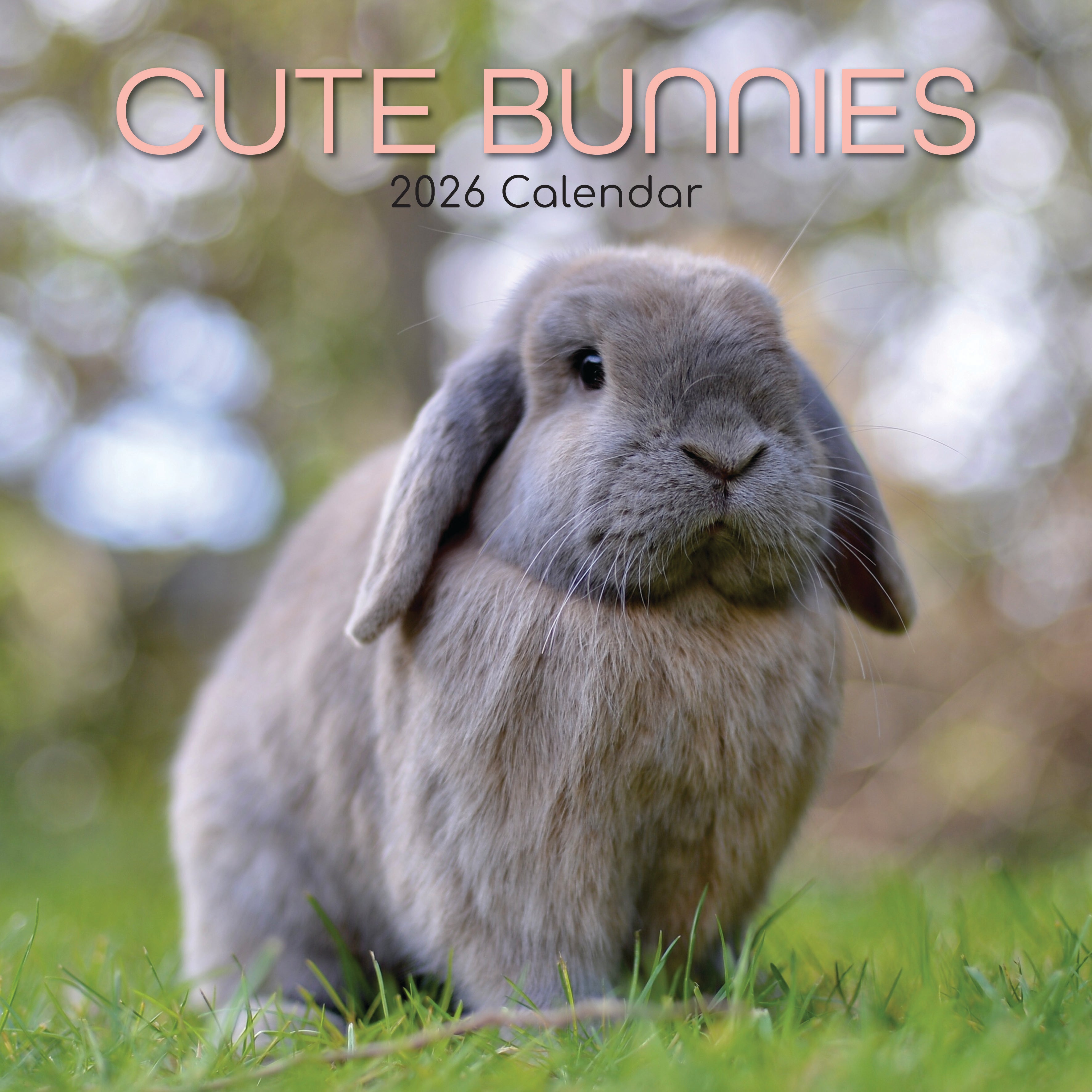 2026 Cute Bunnies - Square Wall Calendar