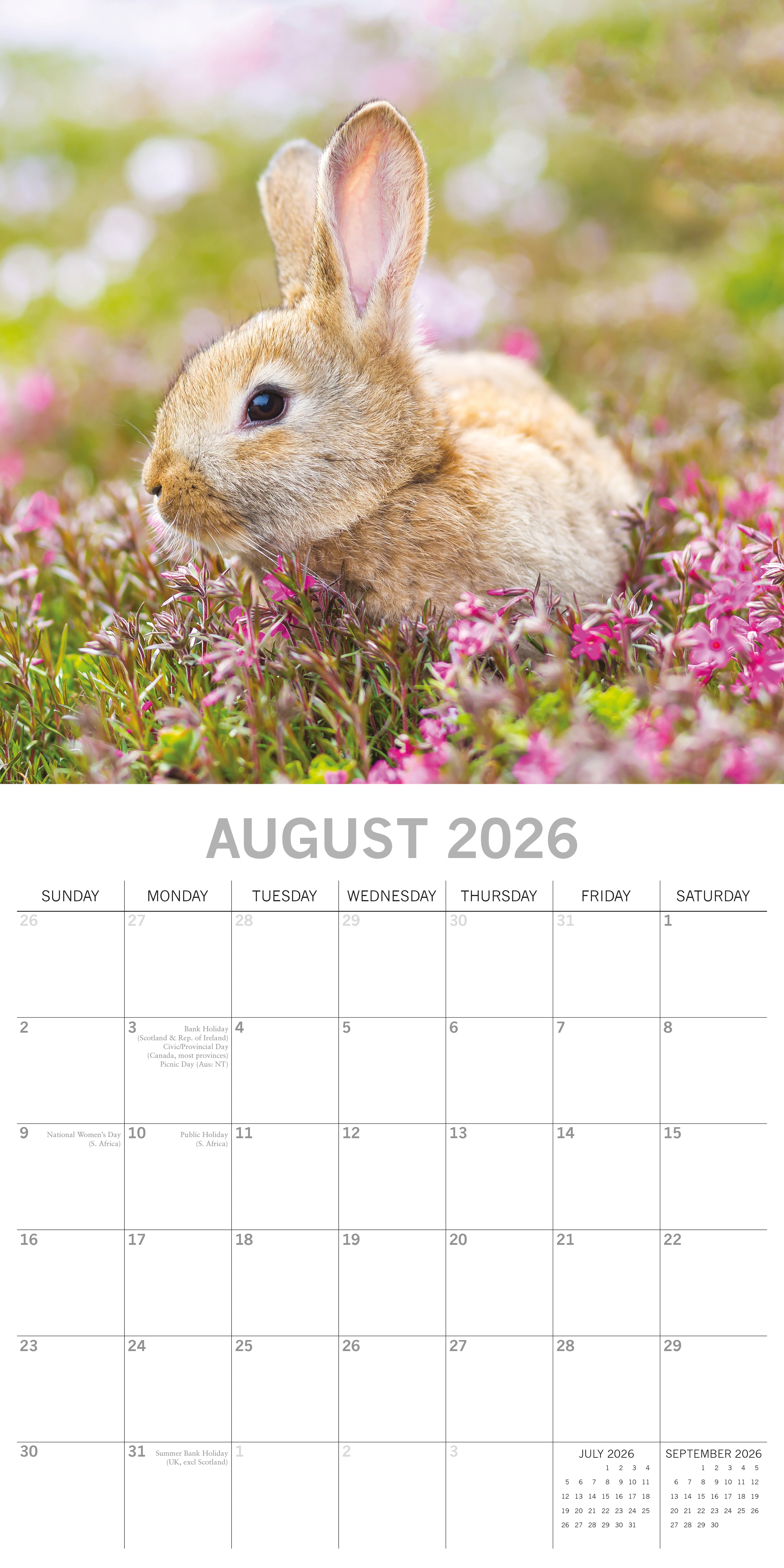 2026 Cute Bunnies - Square Wall Calendar