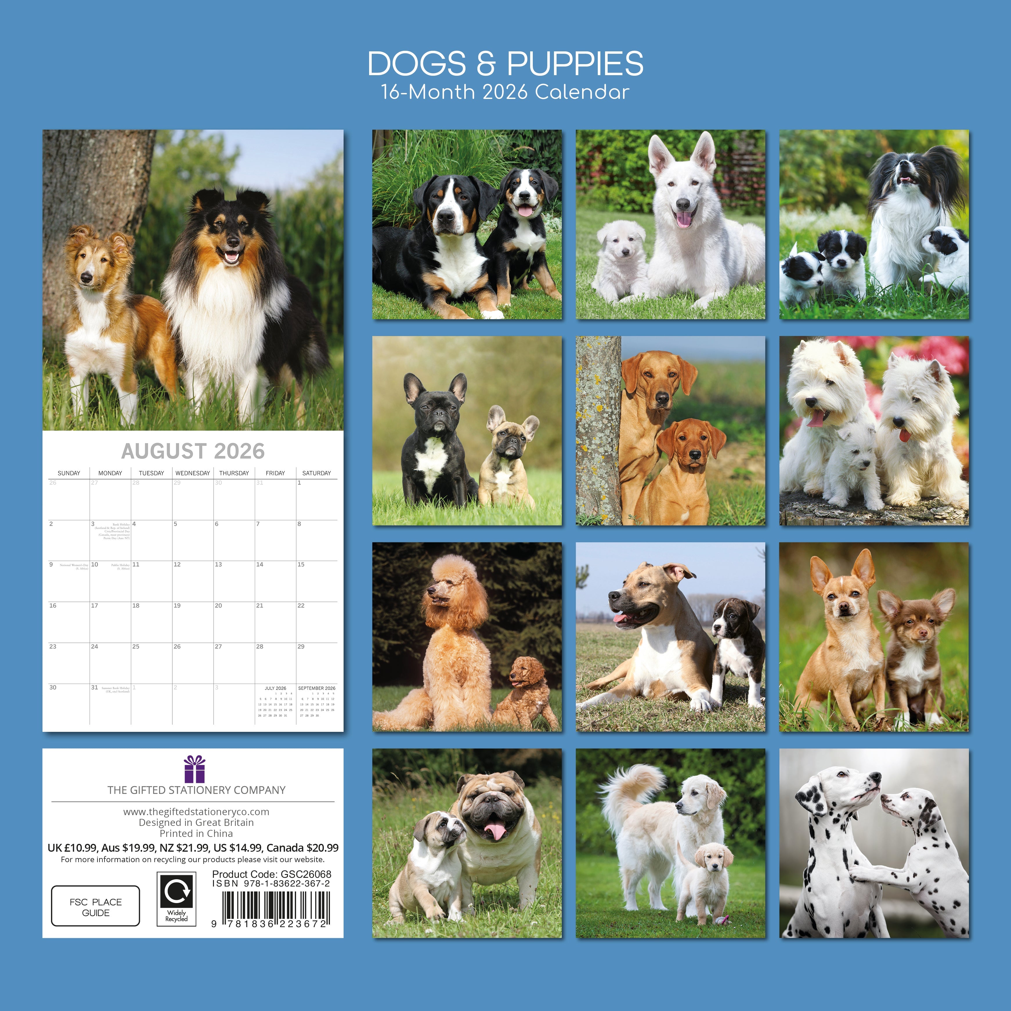 2026 Dogs & Puppies - Square Wall Calendar