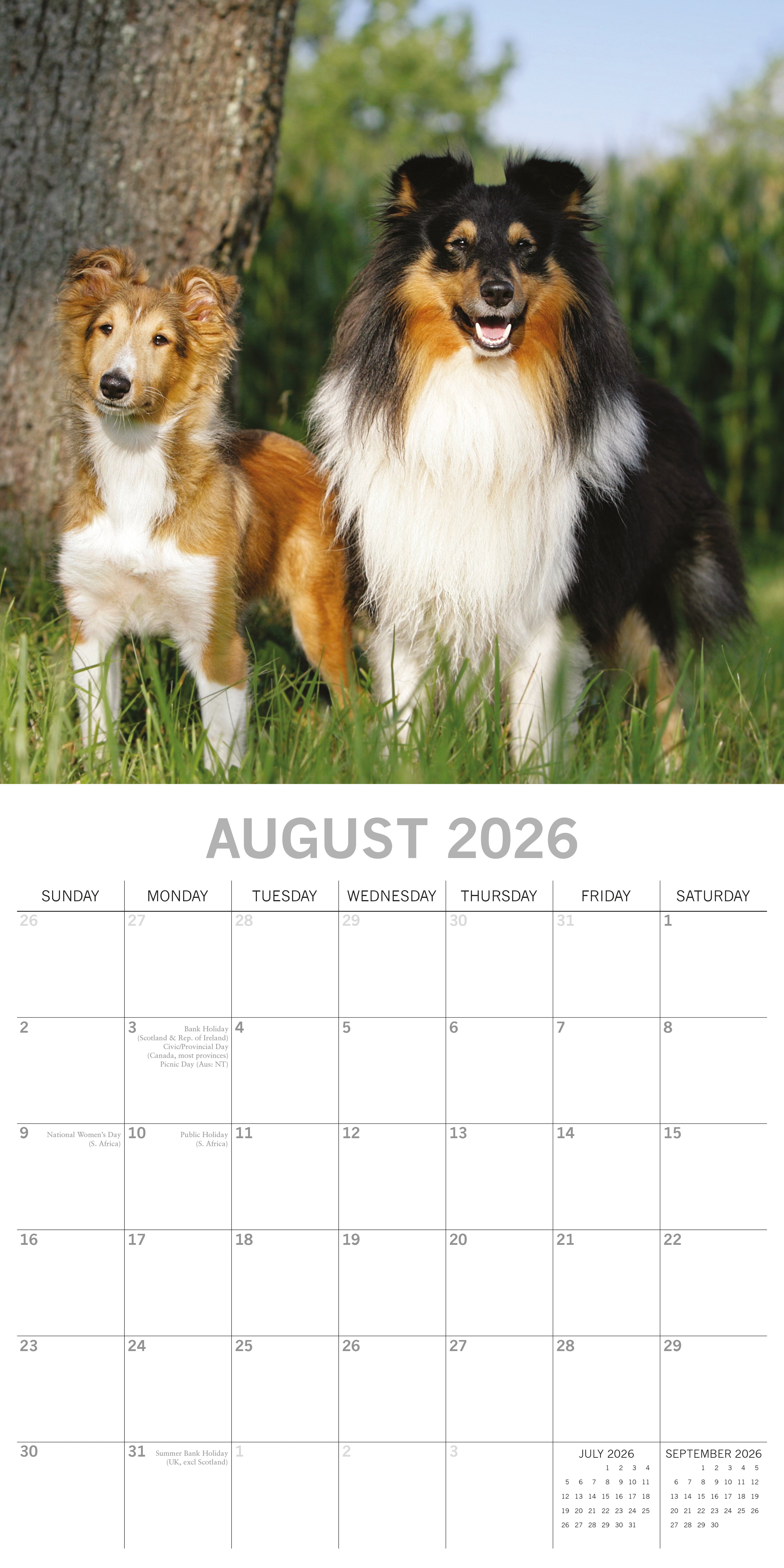 2026 Dogs & Puppies - Square Wall Calendar
