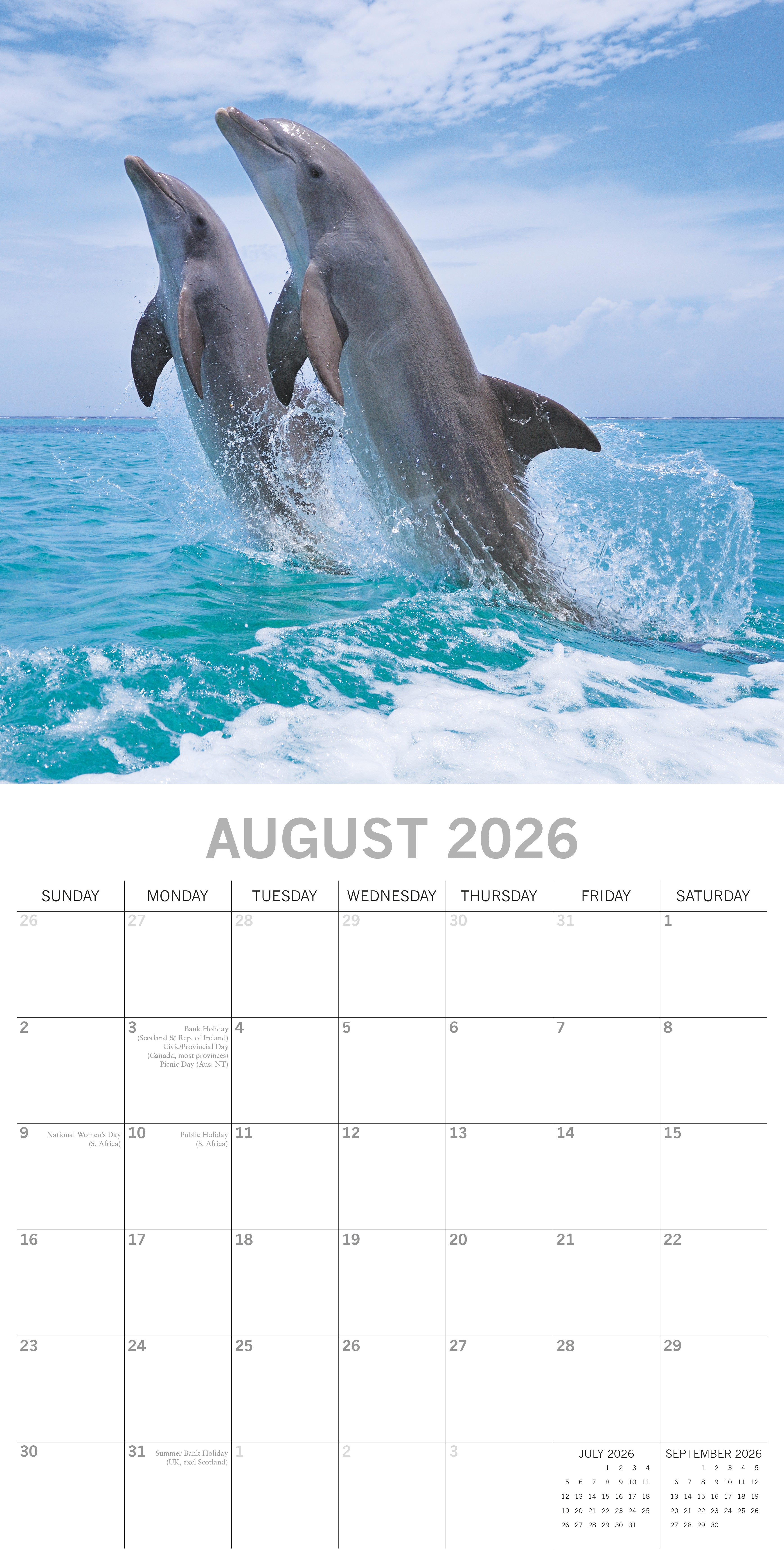 2026 Dolphins - Square Wall Calendar