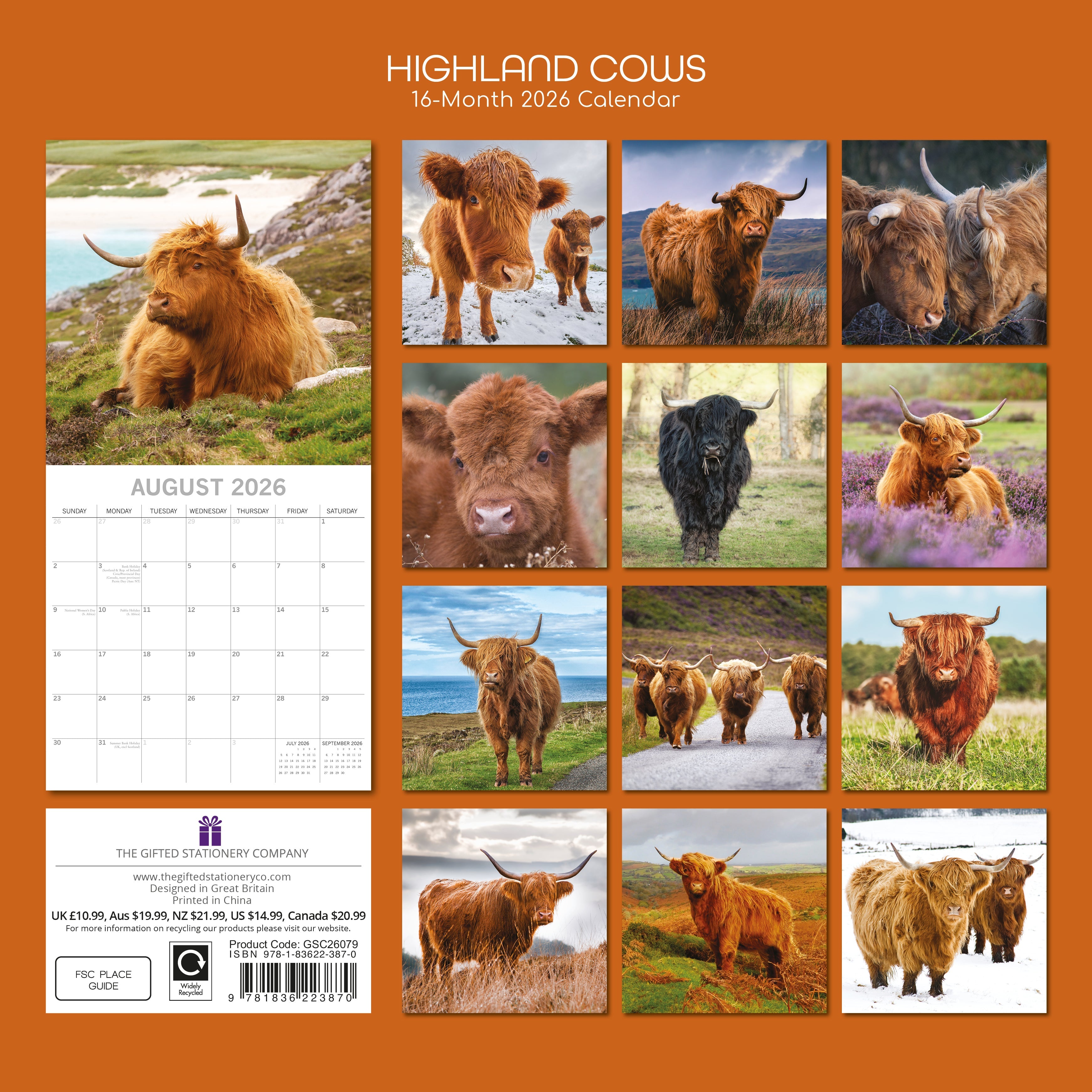 2026 Highland Cows - Square Wall Calendar