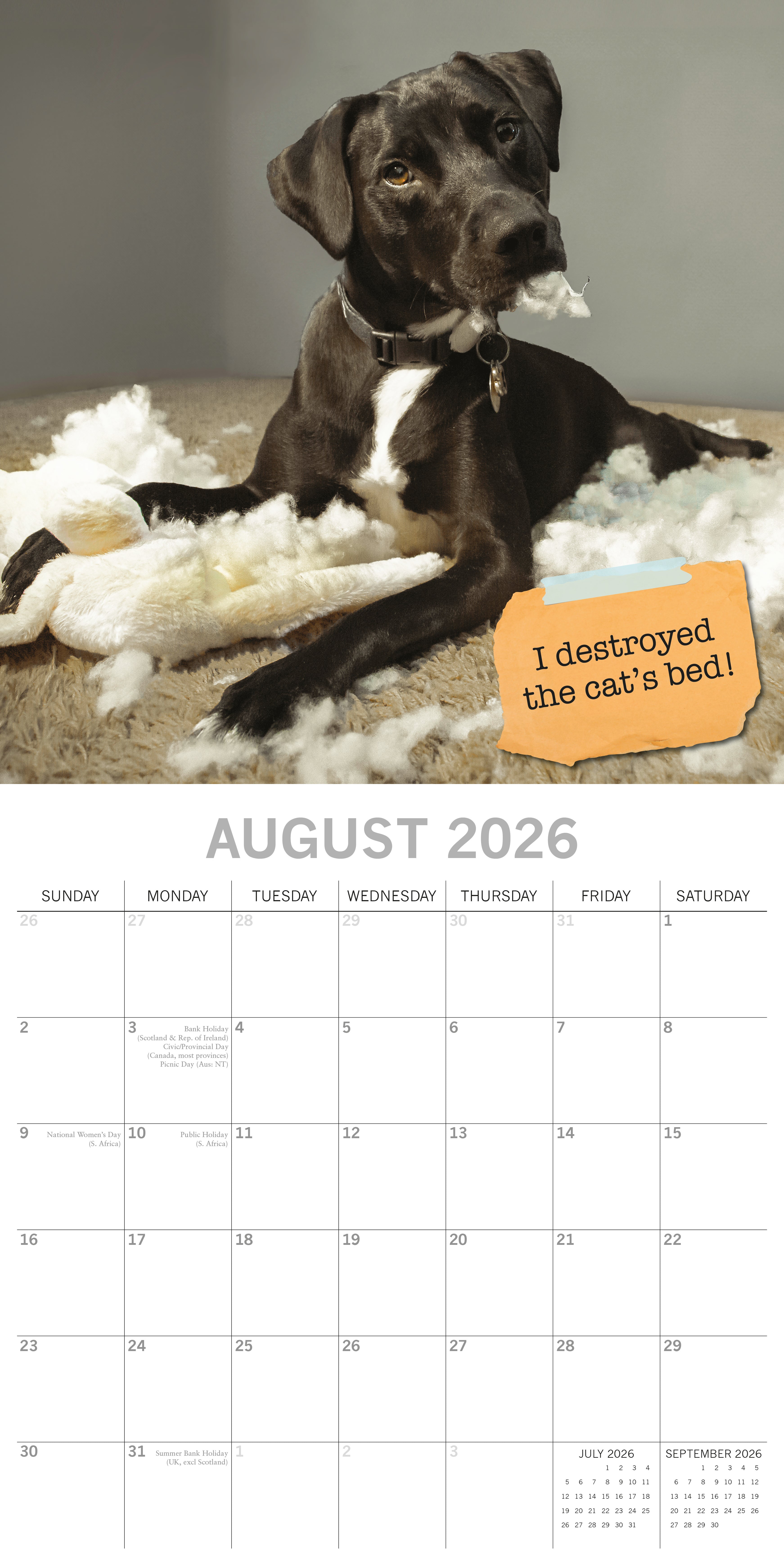2026 Dog Shaming - Square Wall Calendar