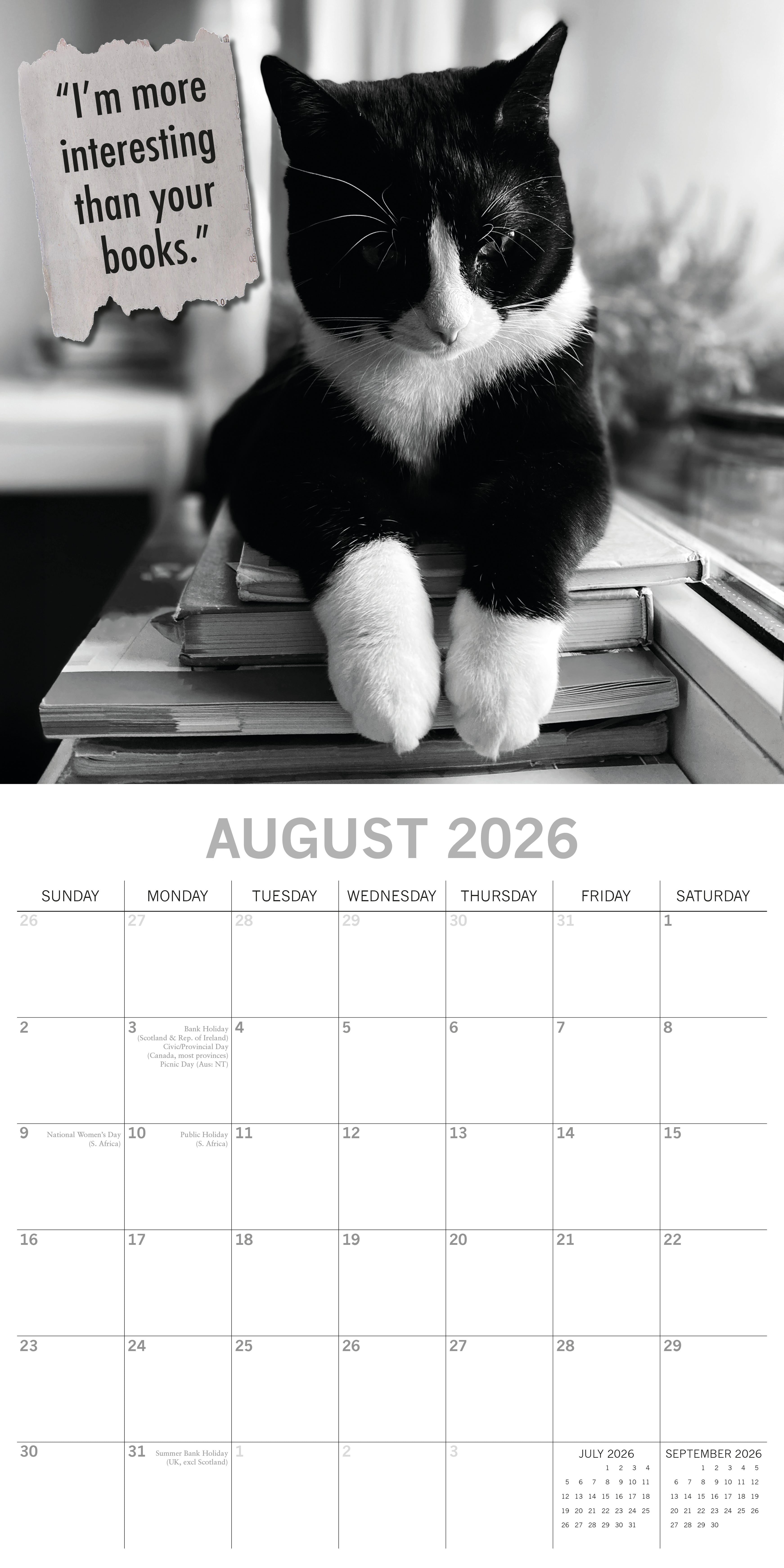 2026 Moggies - Square Wall Calendar