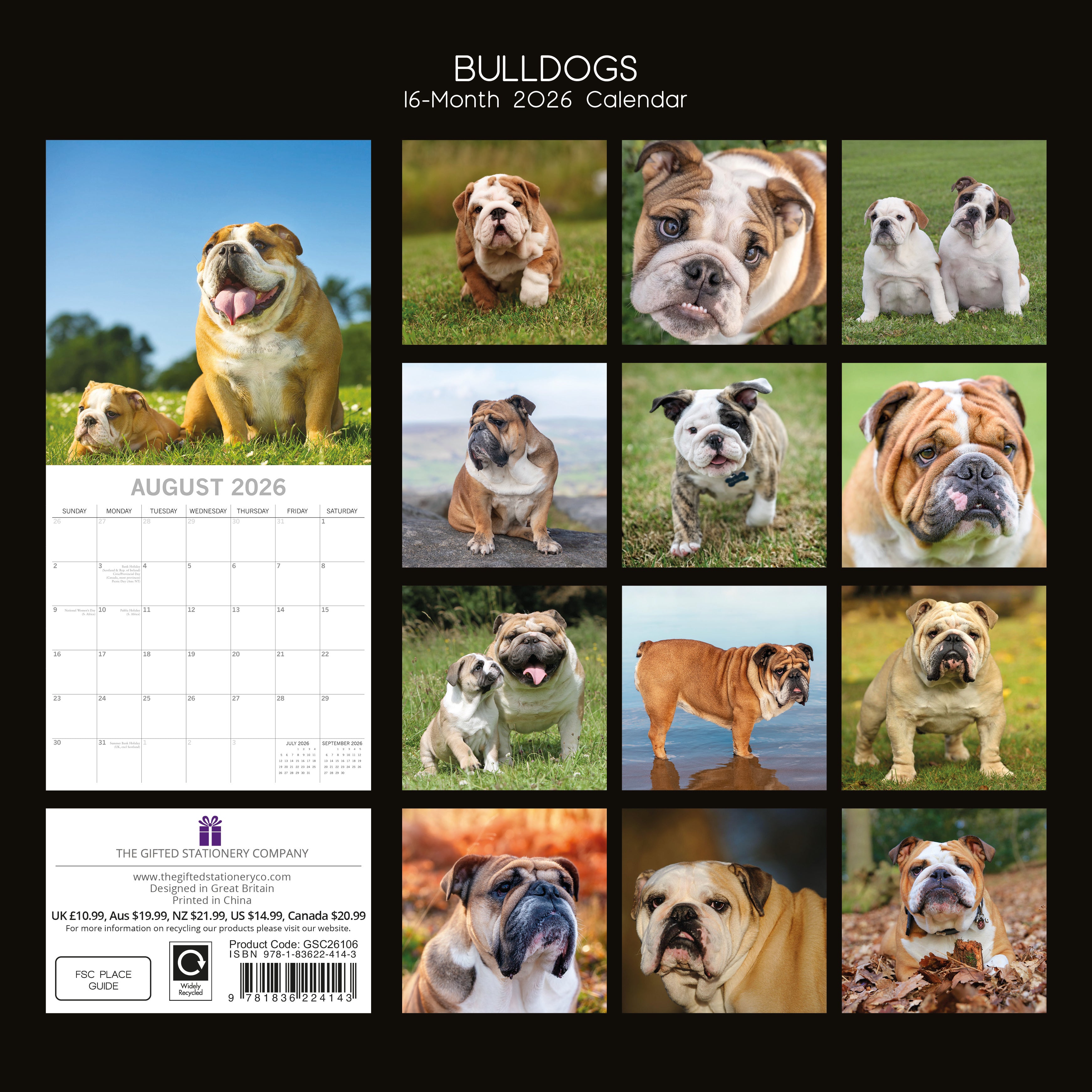 2026 Bulldogs - Square Wall Calendar