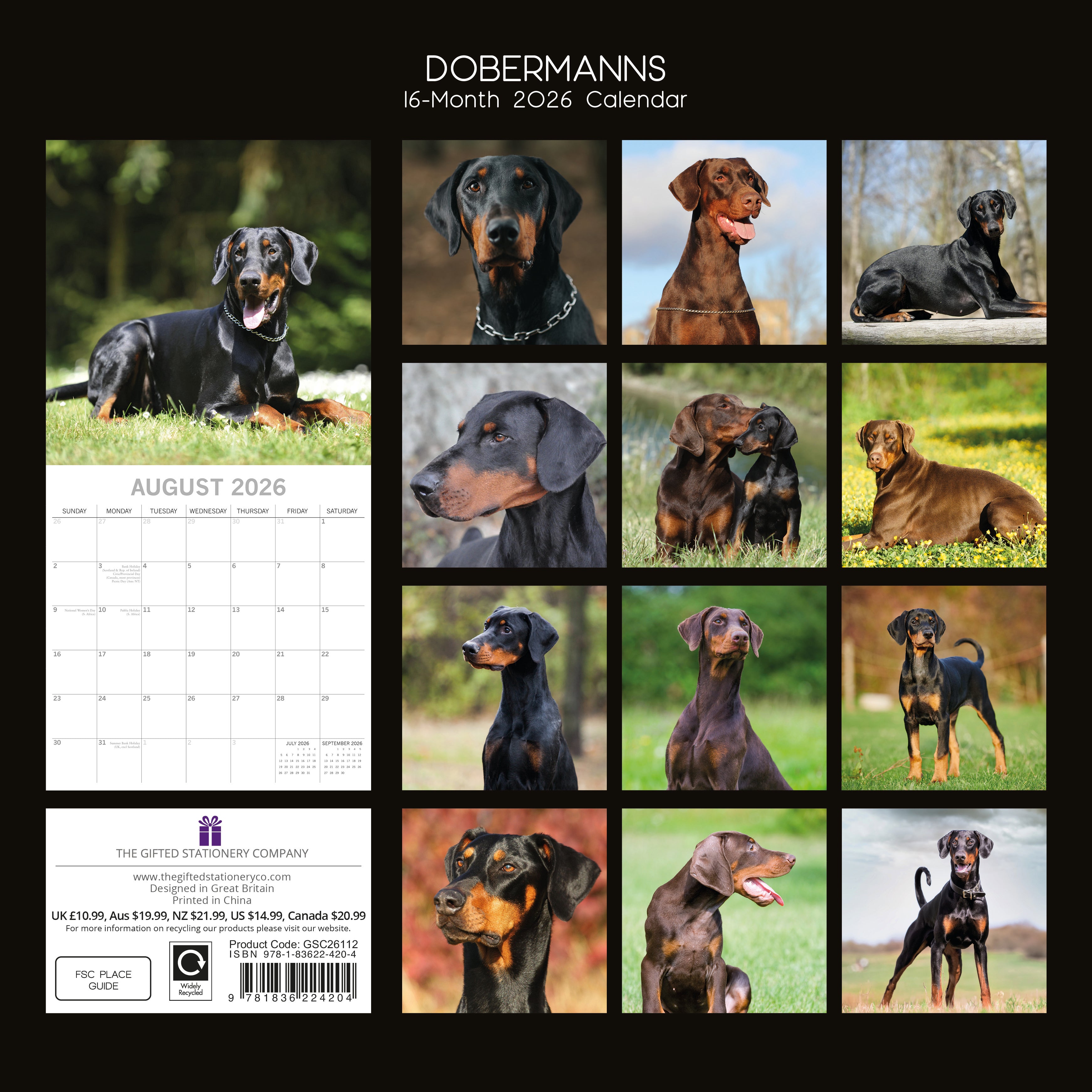 2026 Dobermans - Square Wall Calendar