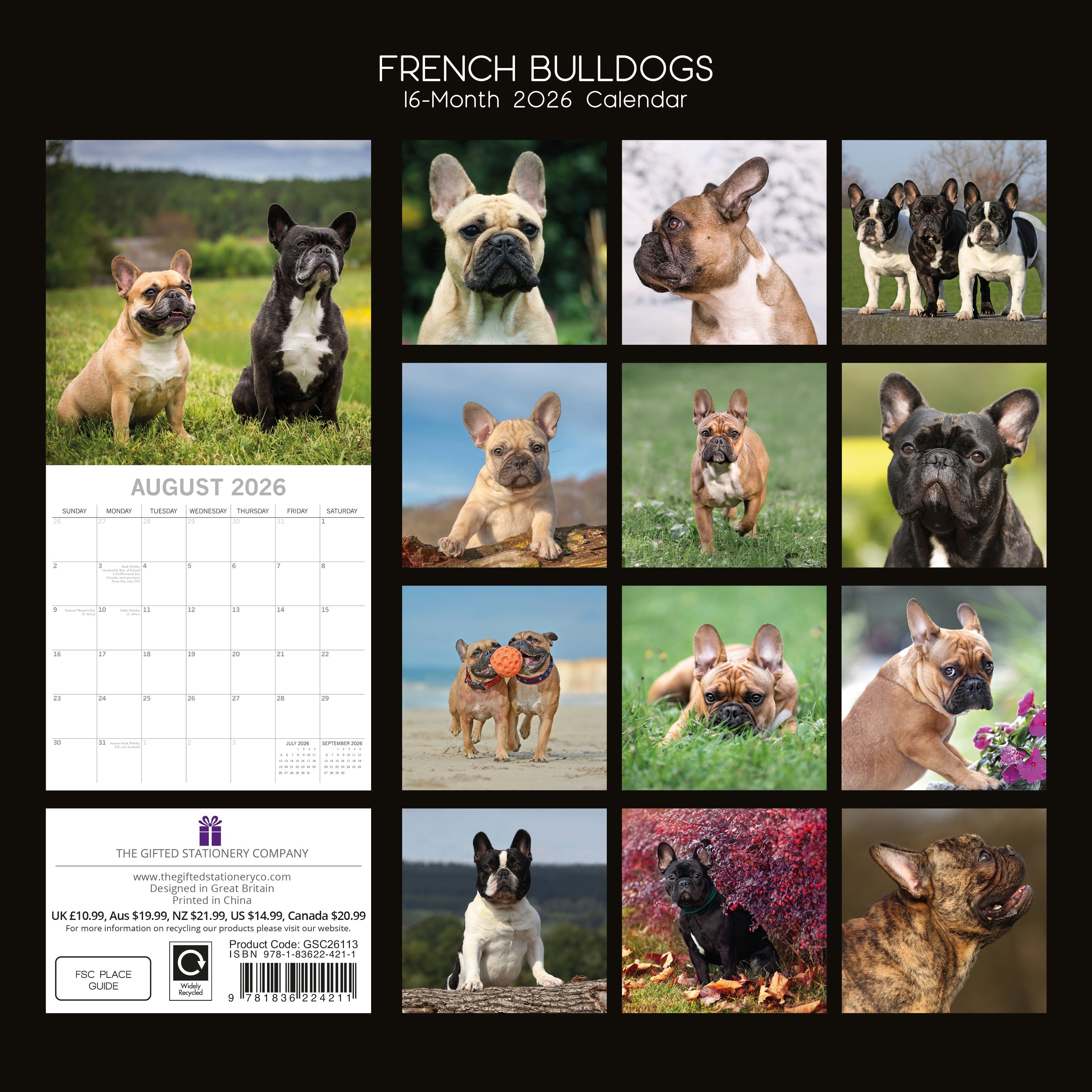 2026 French Bulldogs - Square Wall Calendar