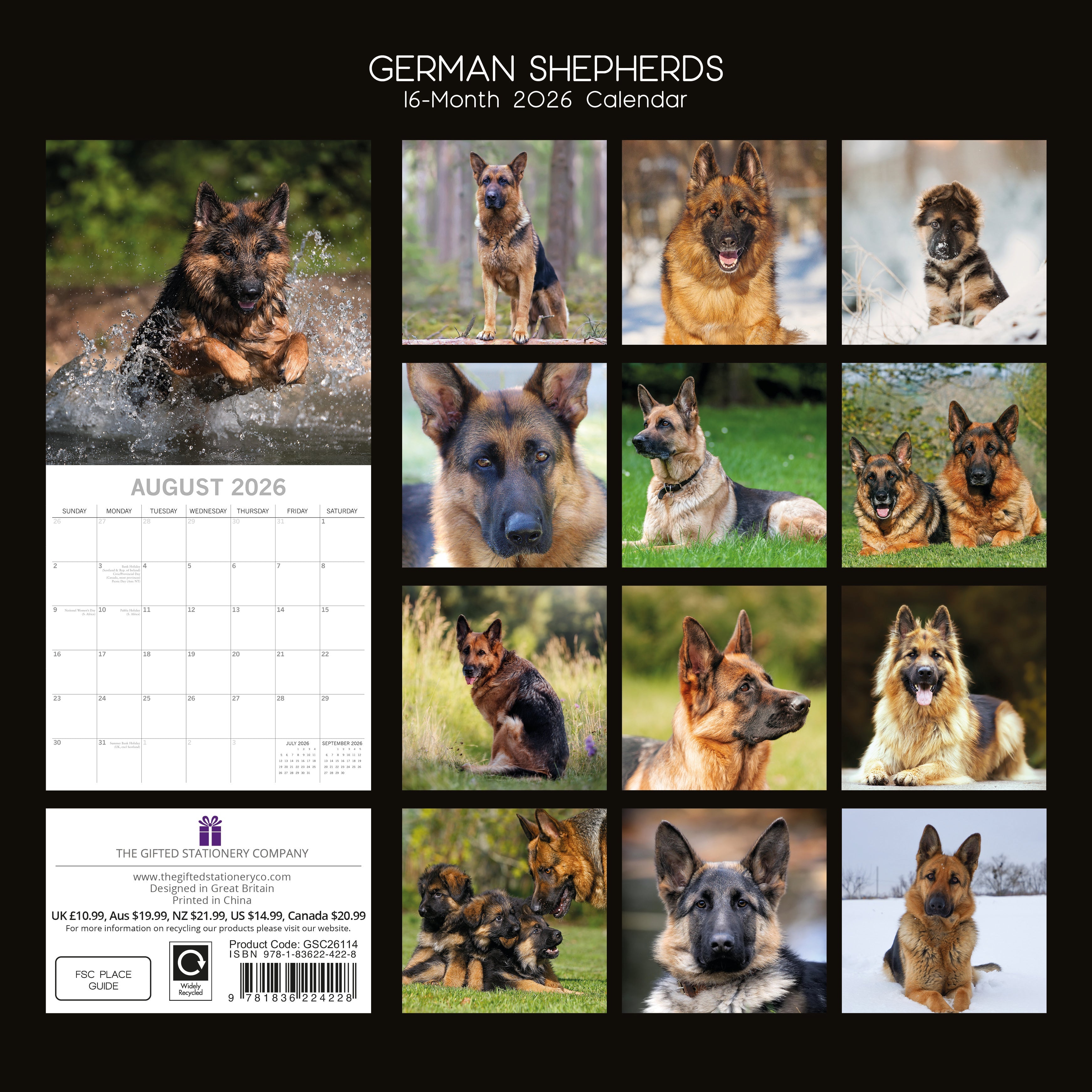 2026 German Shepherds - Square Wall Calendar
