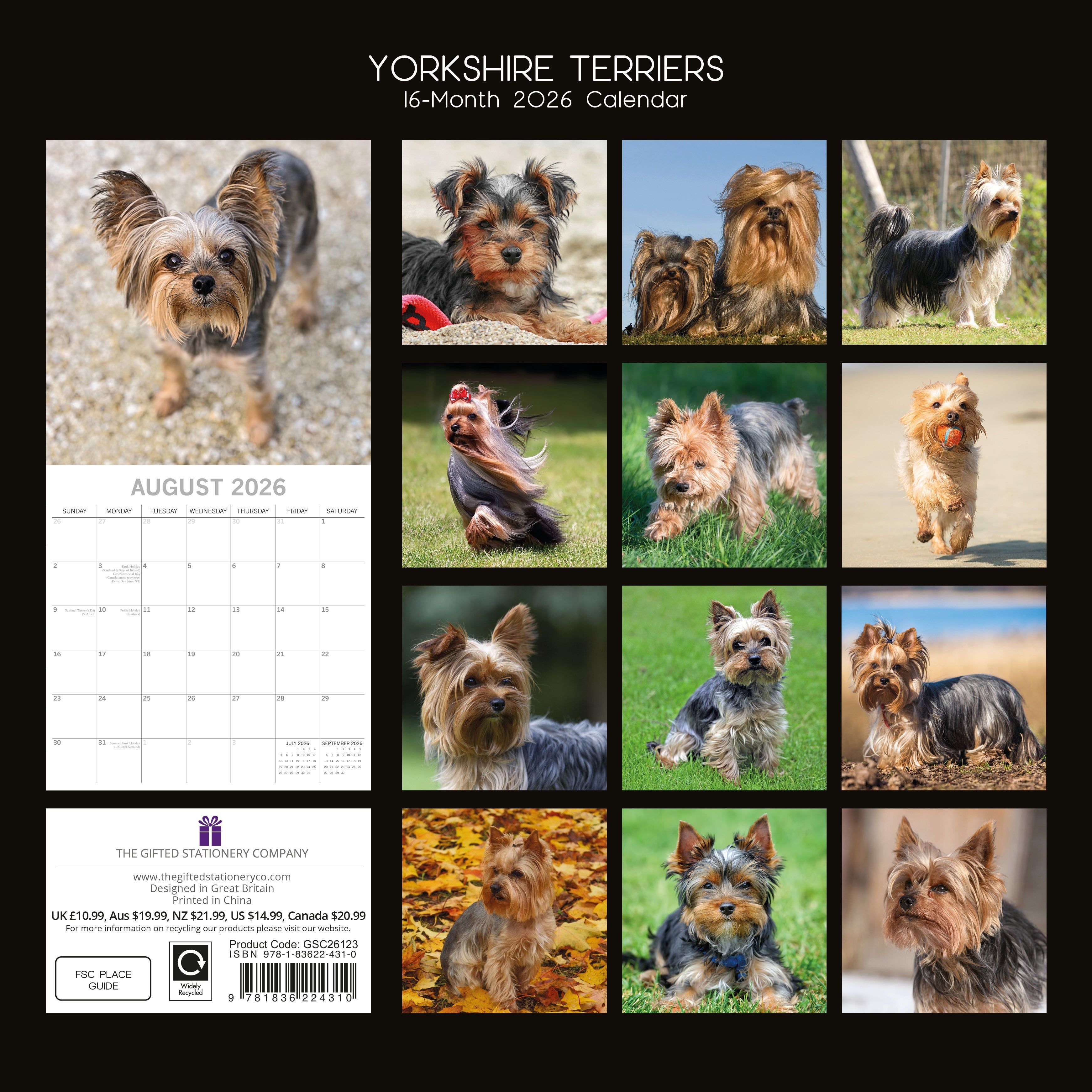 2026 Yorkshire Terriers - Square Wall Calendar