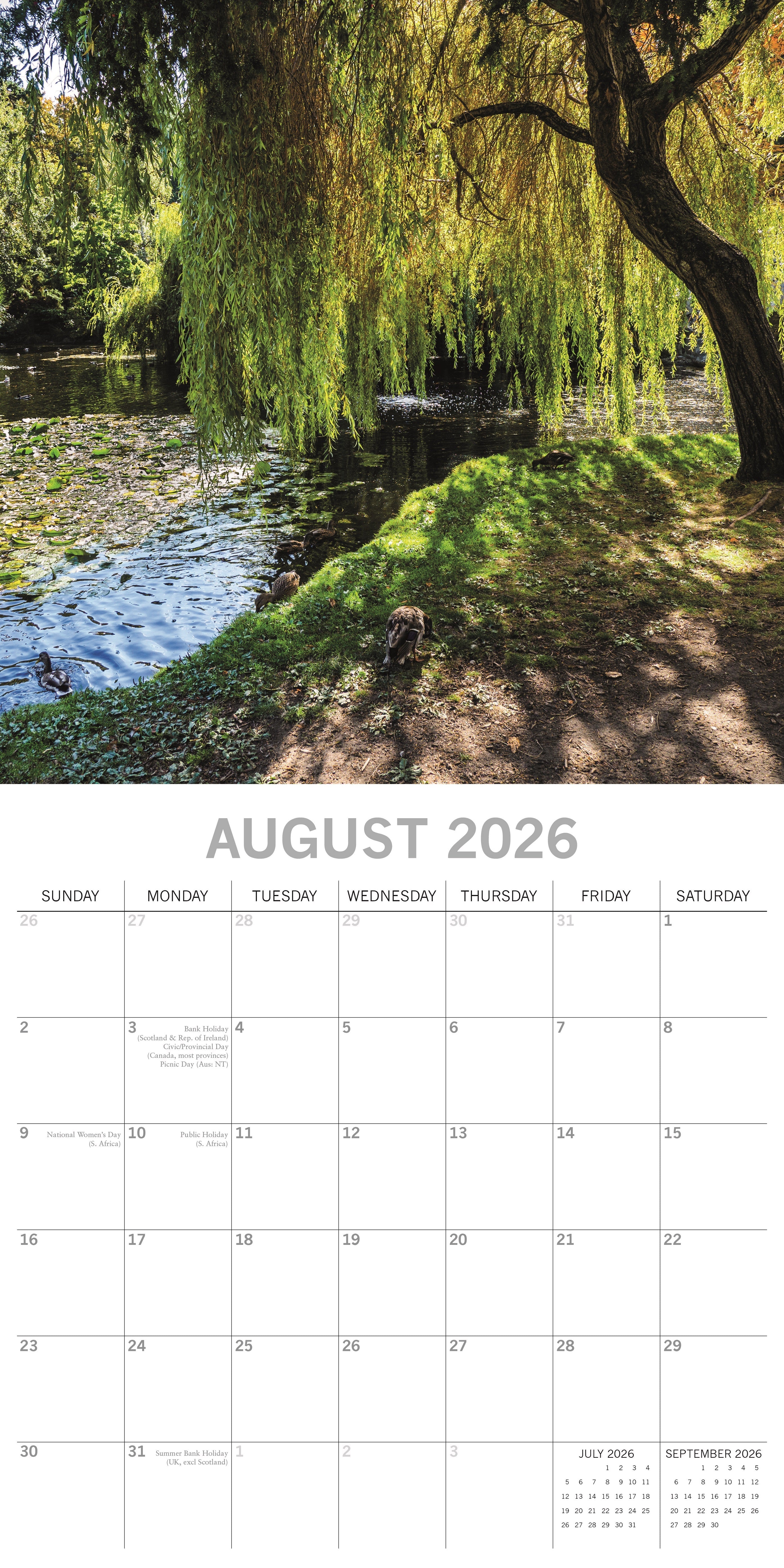 2026 Beauty of Trees - Square Wall Calendar