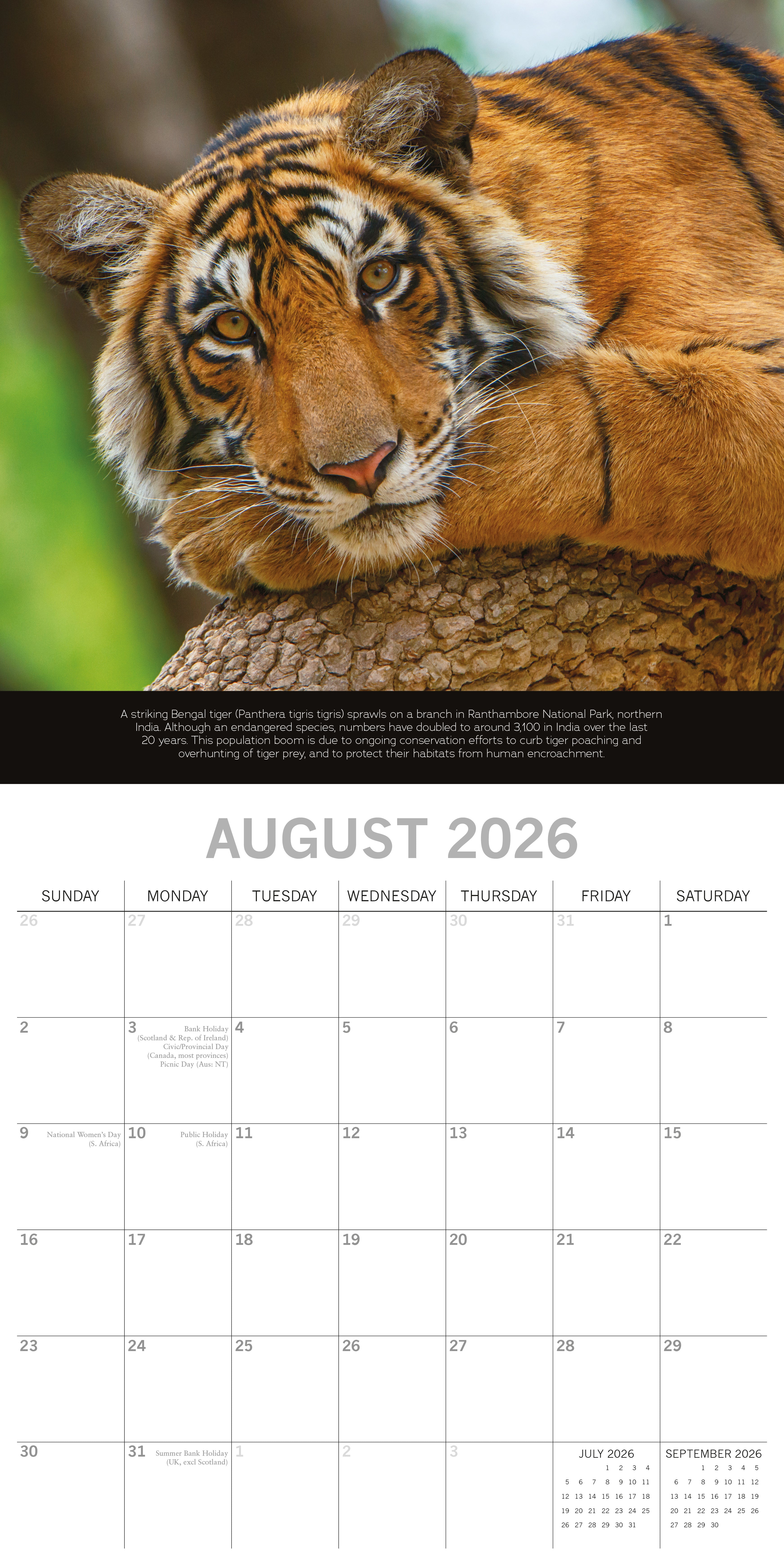 2026 Save the Planet - Square Wall Calendar