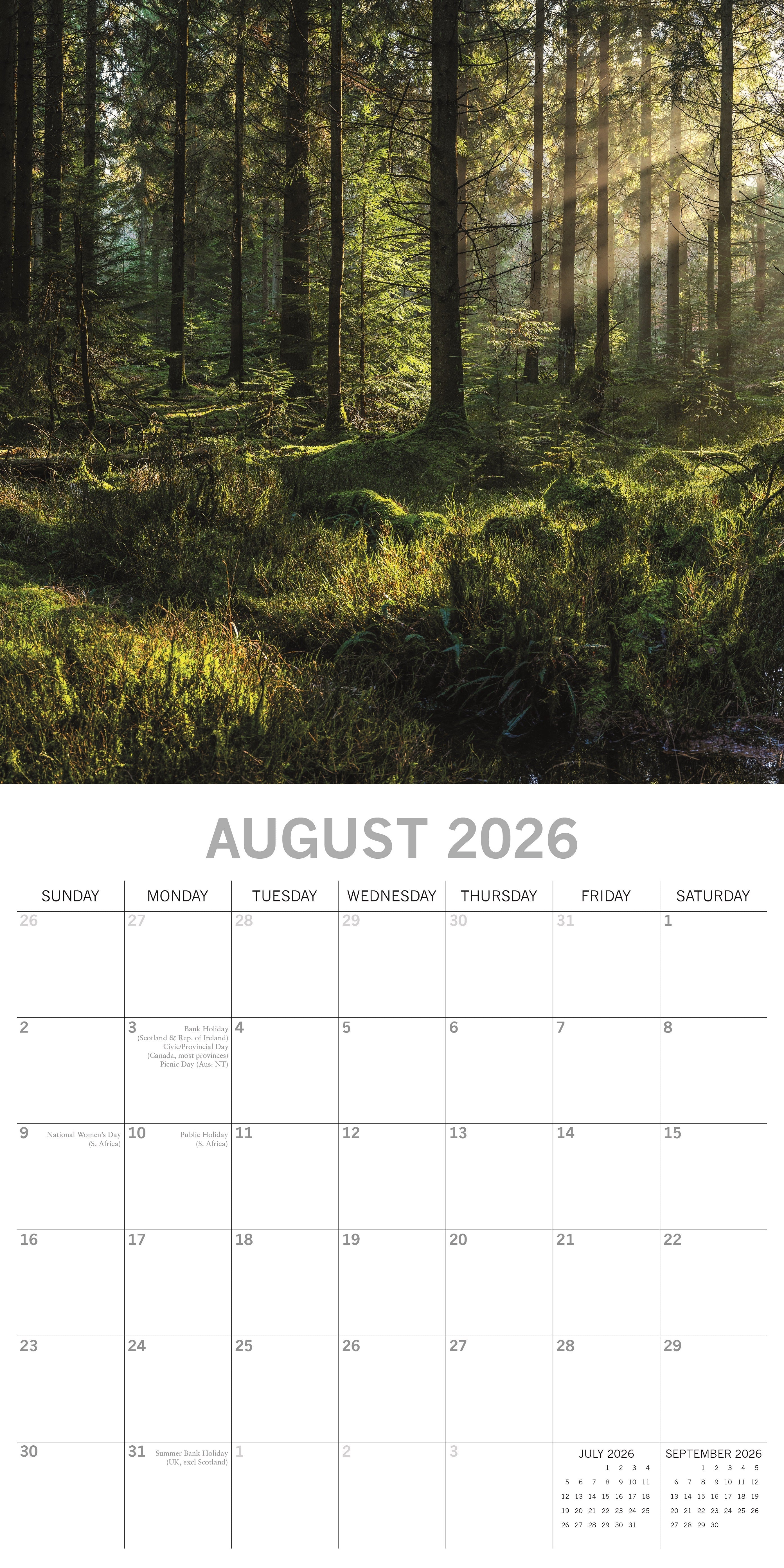 2026 Woodland Scenes - Square Wall Calendar