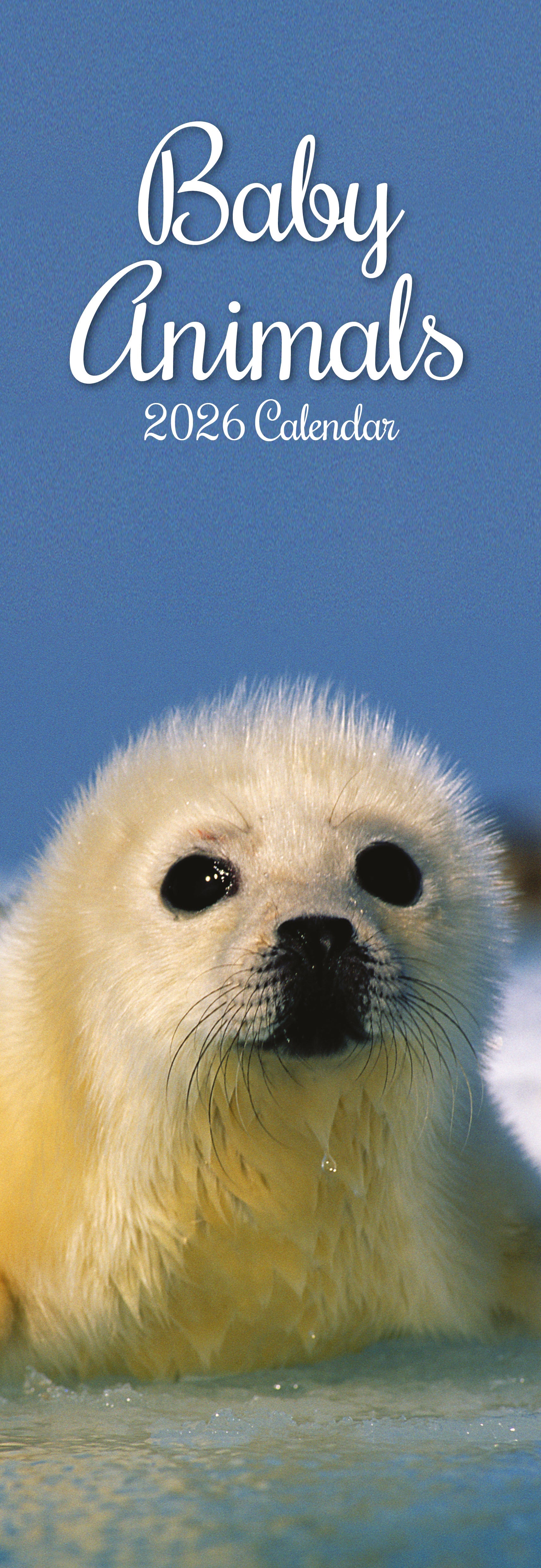 2026 Baby Animals Slim Wall Calendar 1 96abd15c D471 47a5 9508 