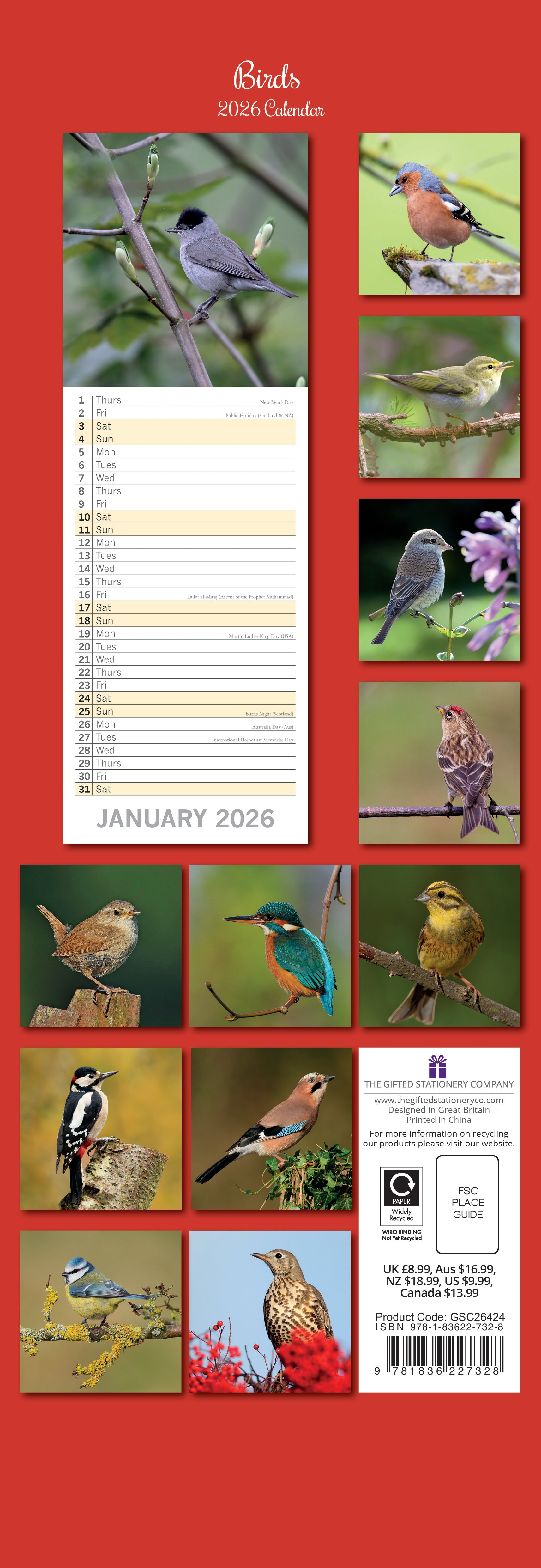 2026 Birds - Slim Wall Calendar