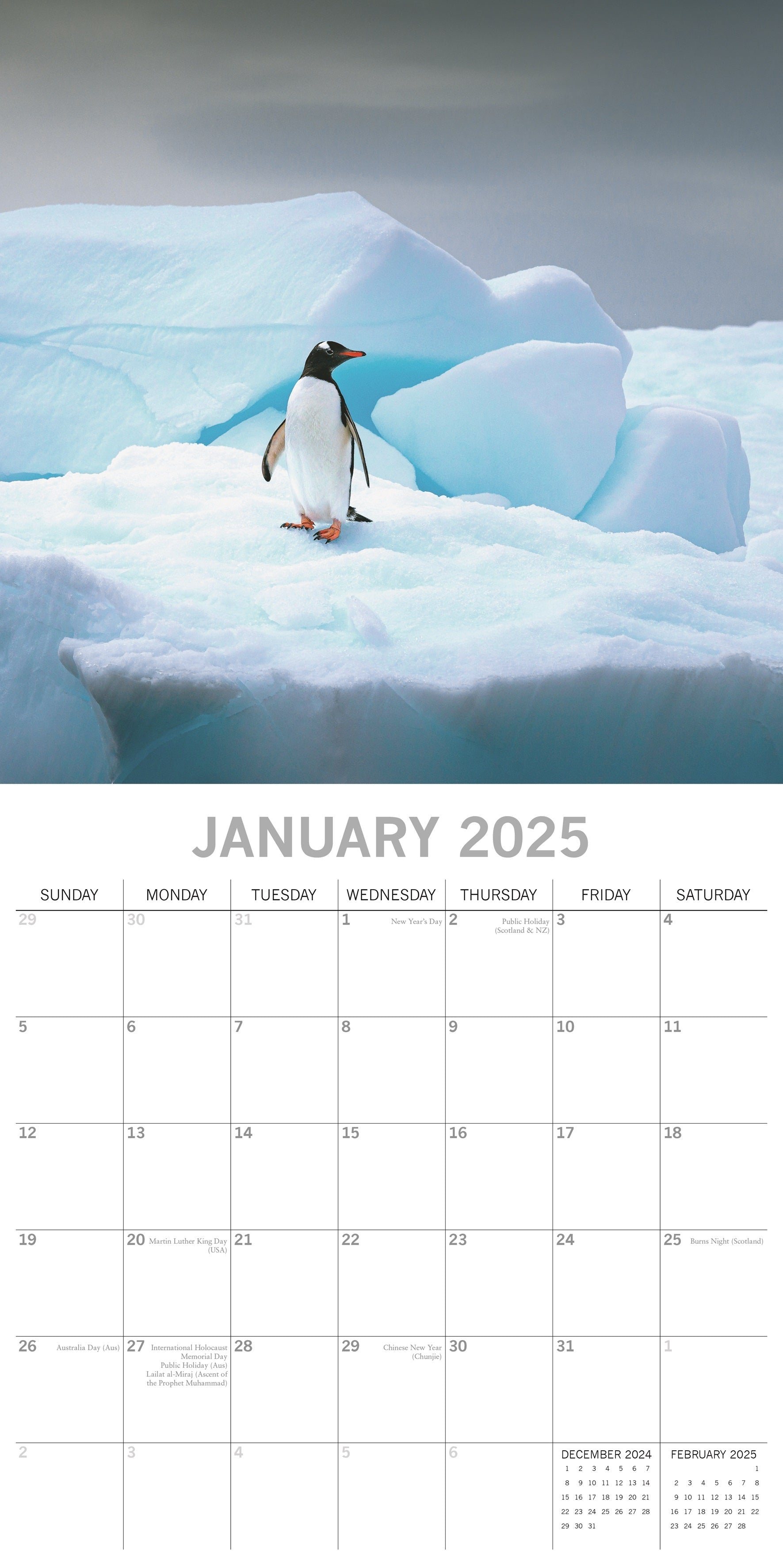 2025 Antarctica - Square Wall Calendar