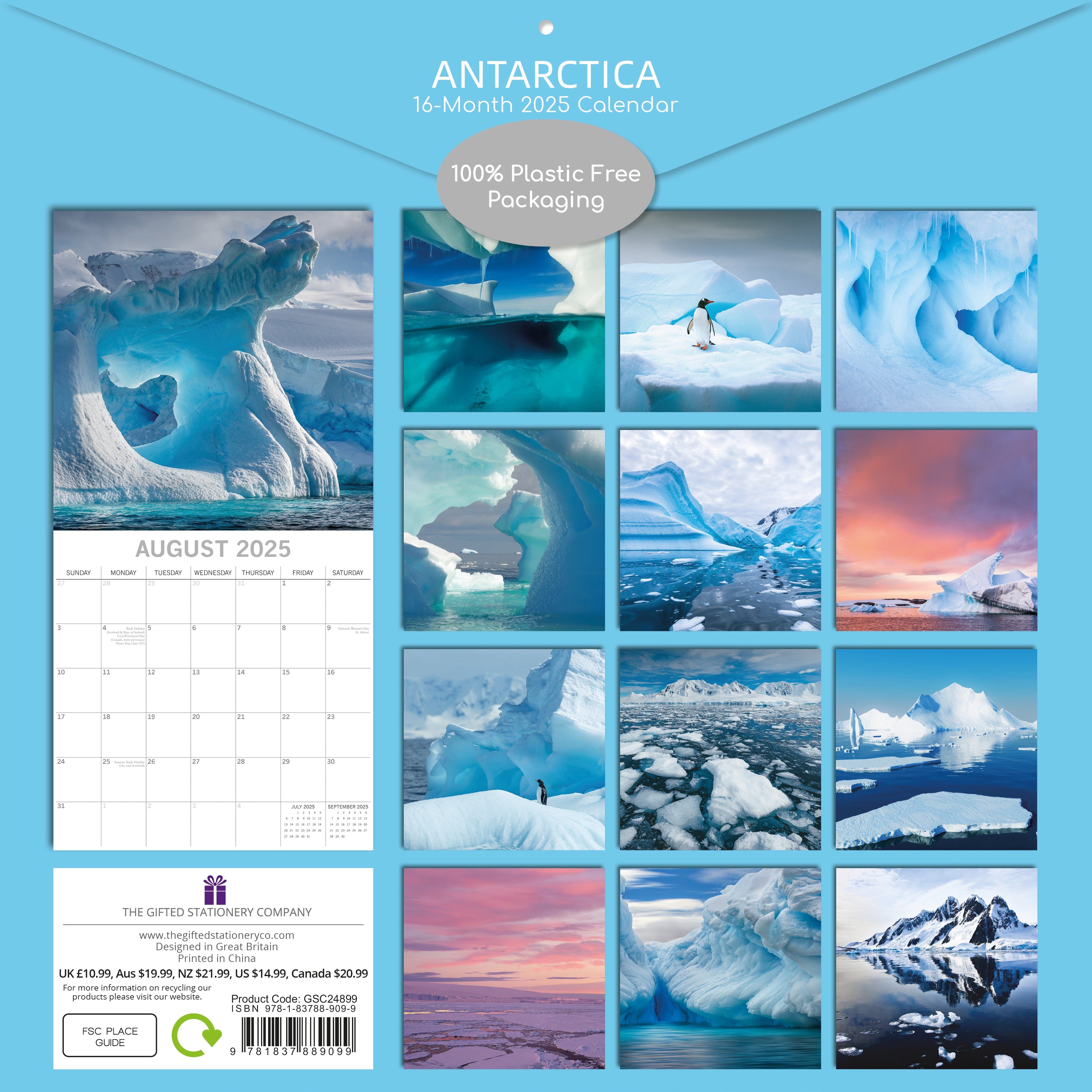 2025 Antarctica - Square Wall Calendar