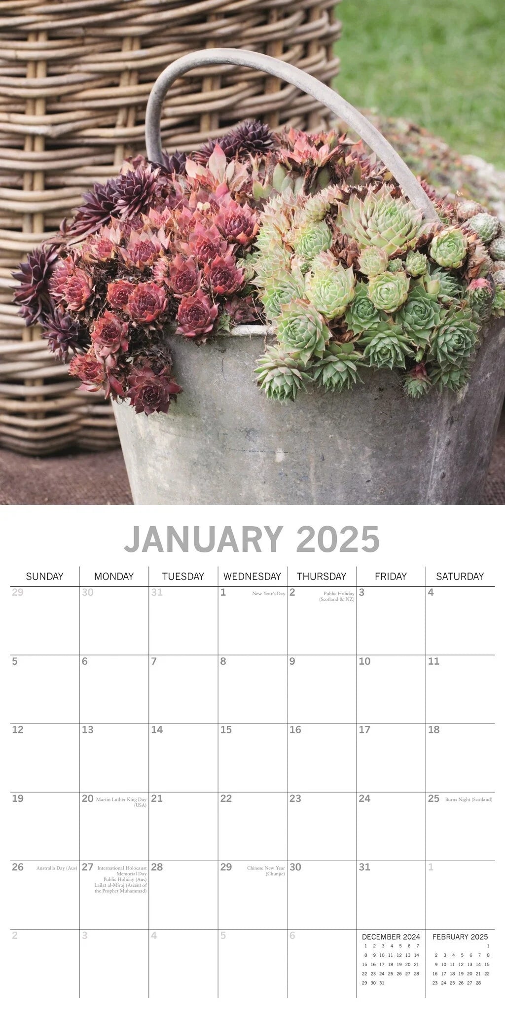 2025 Cacti & Succulents - Square Wall Calendar