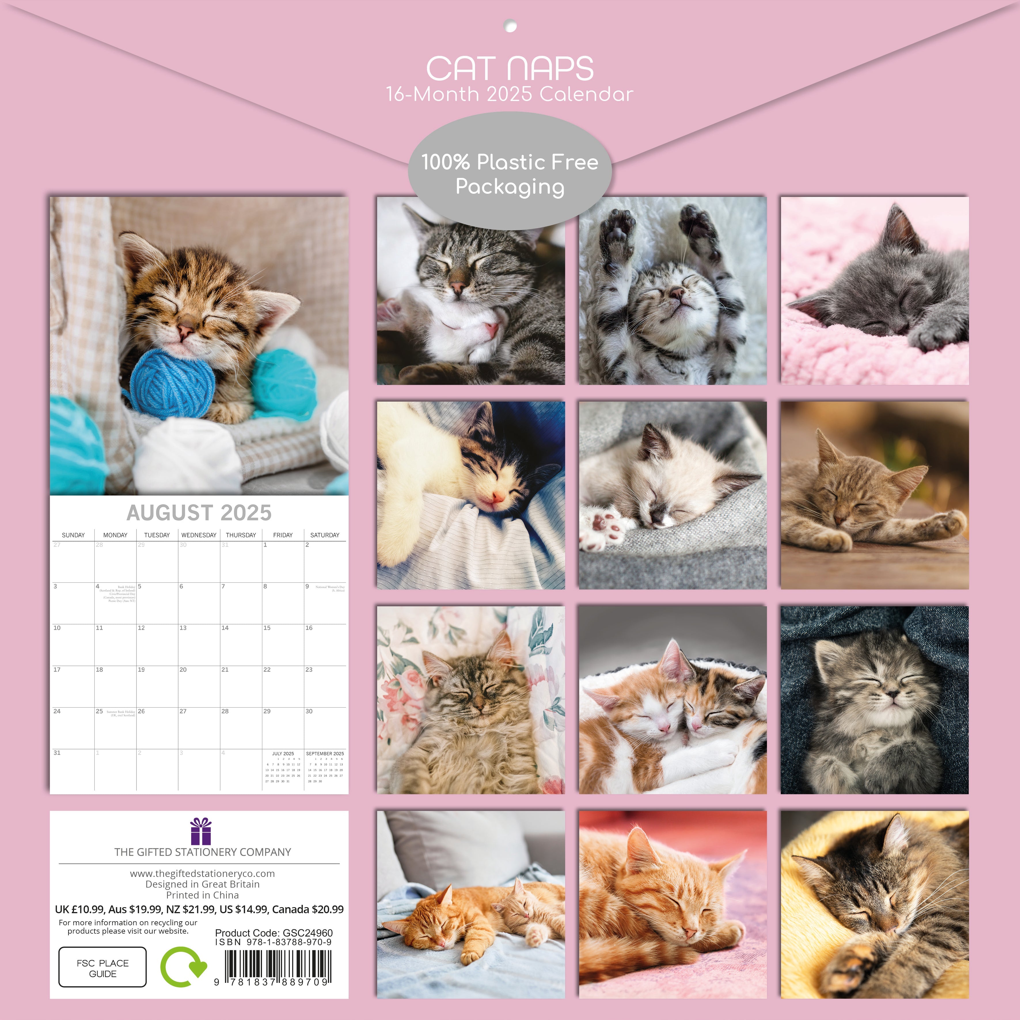 2025 Cat Naps - Square Wall Calendar