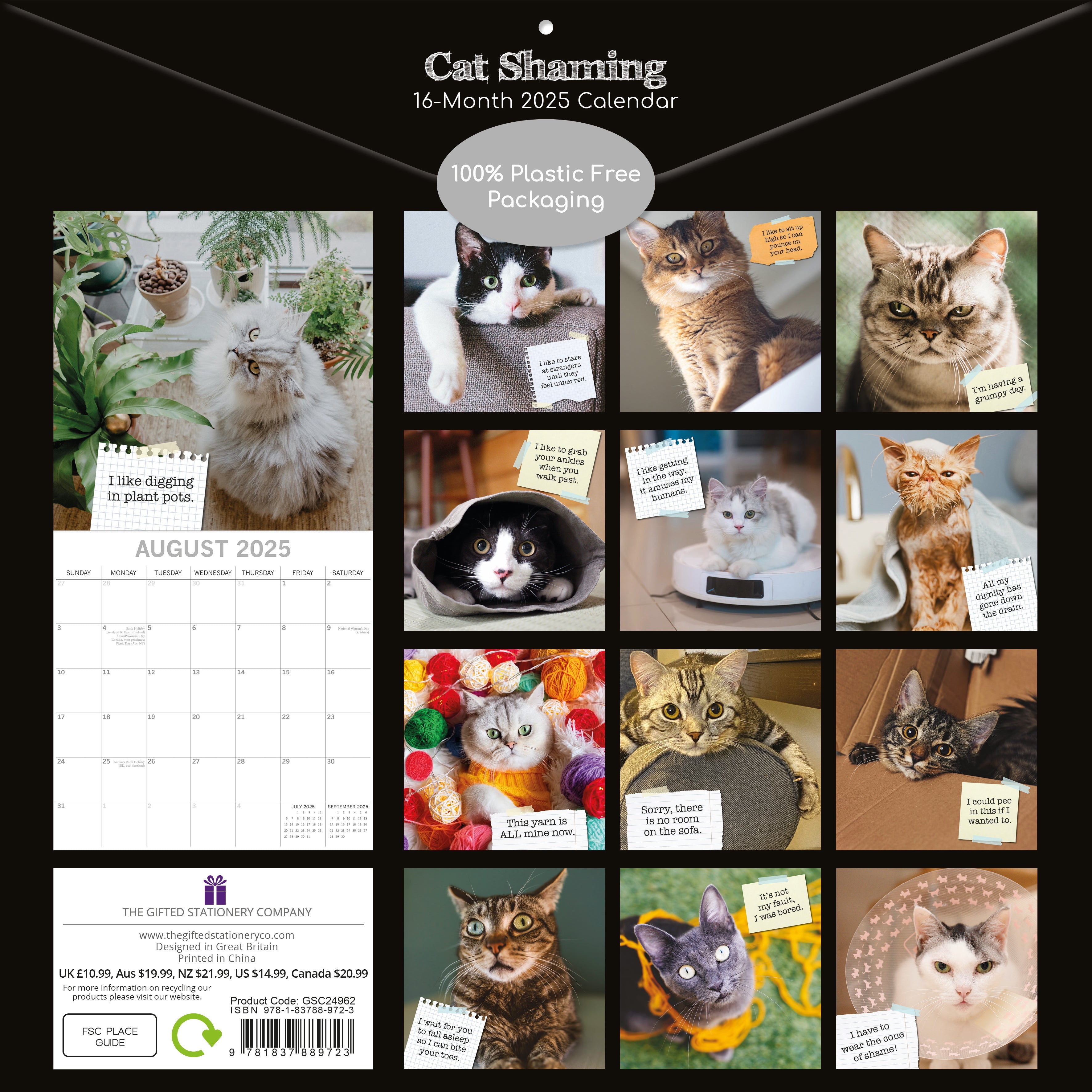 2025 Cat Shaming - Square Wall Calendar