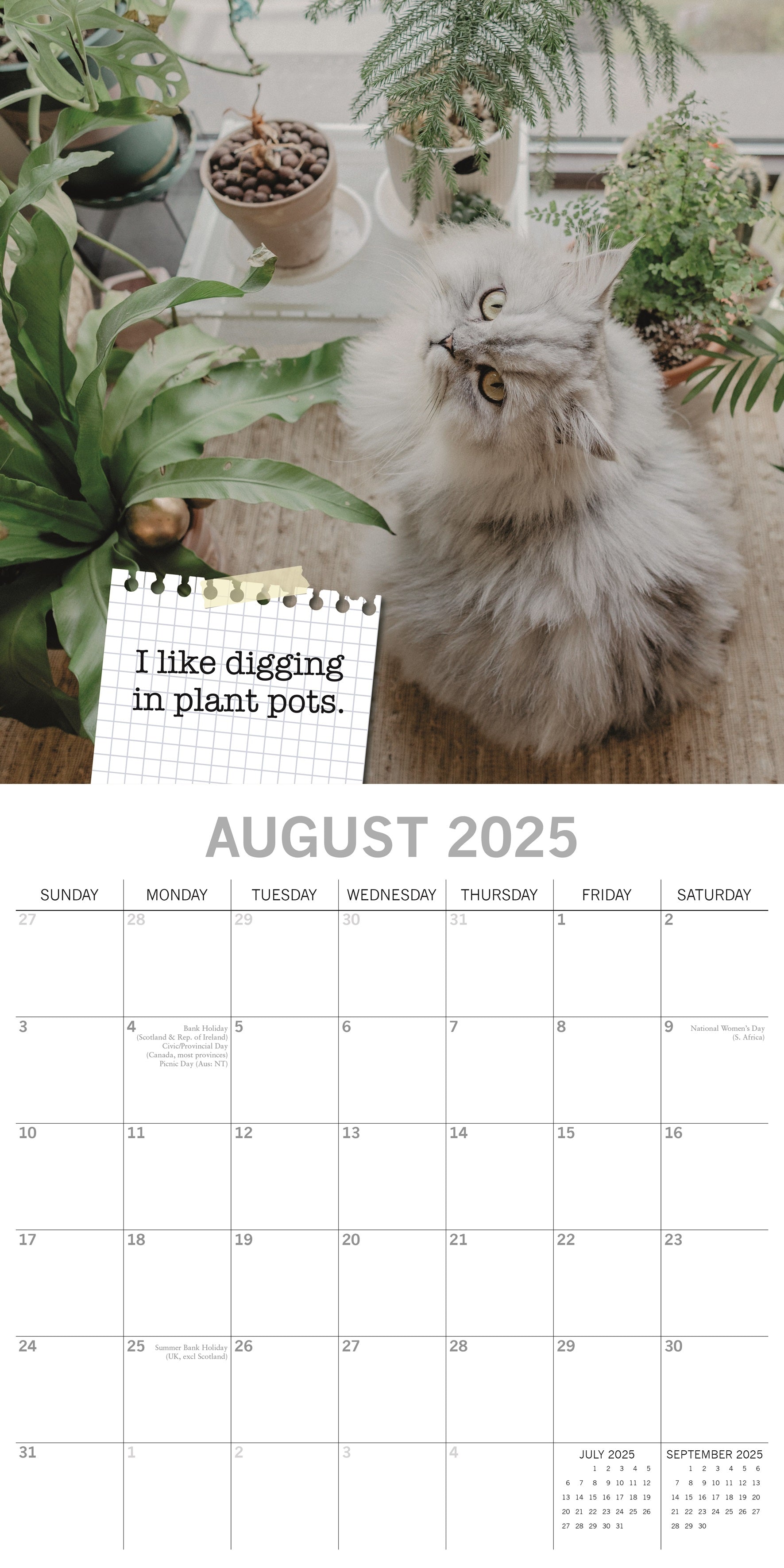 2025 Cat Shaming - Square Wall Calendar