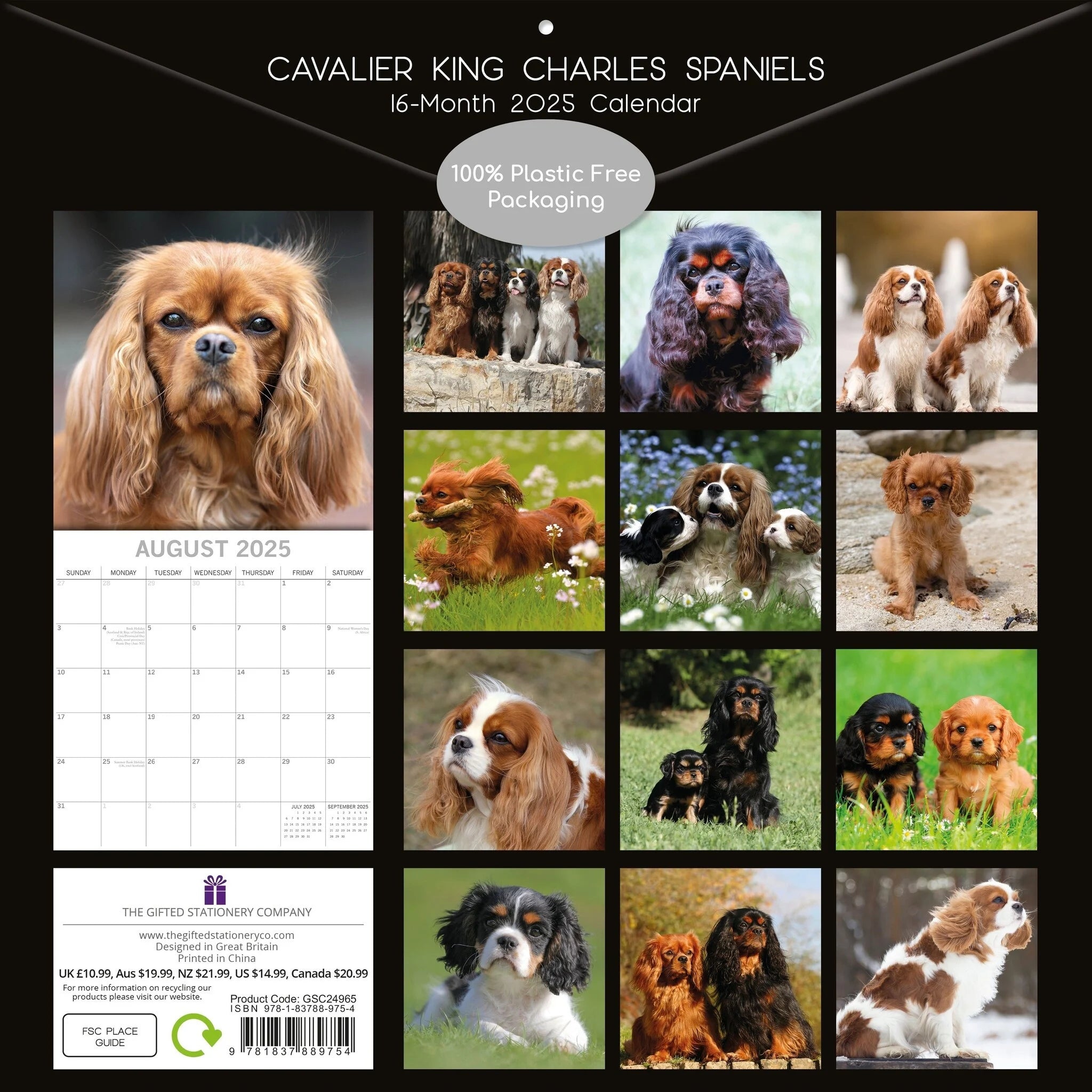 2025 Cavalier King Charles Spaniels - Square Wall Calendar