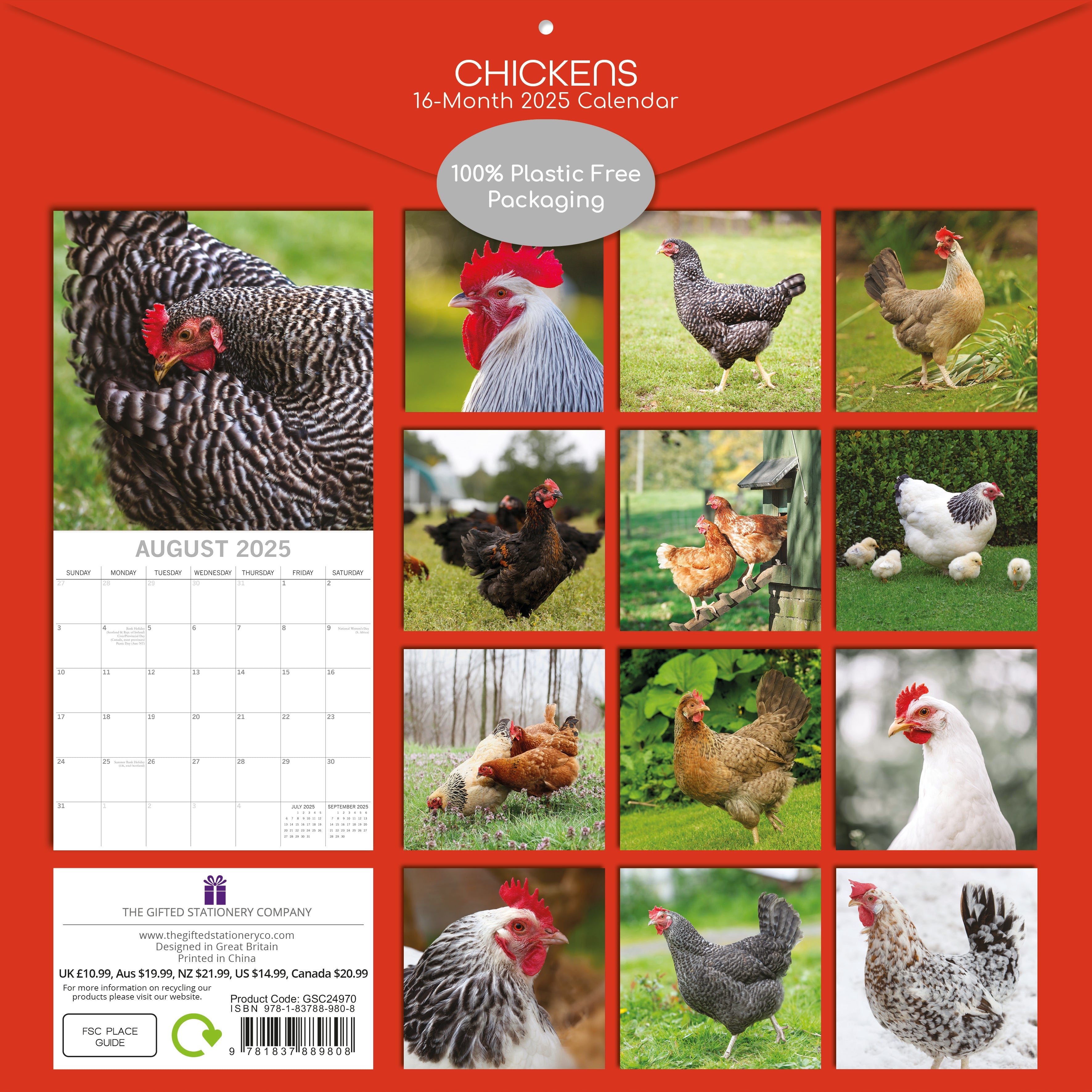 2025 Chickens - Square Wall Calendar